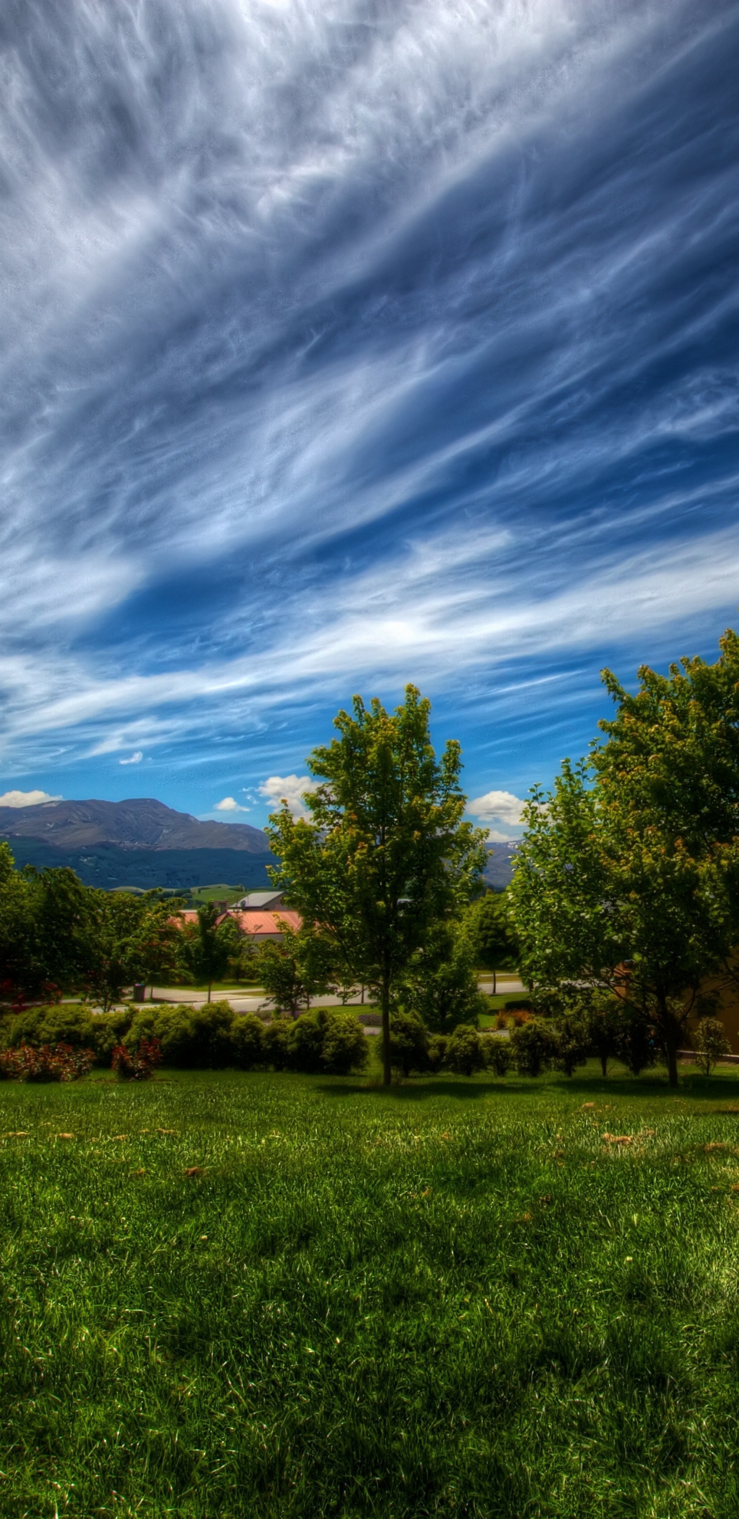 Green Grass Field With Trees Under Blue Sky and White Clouds During Daytime. Wallpaper in 1440x2960 Resolution