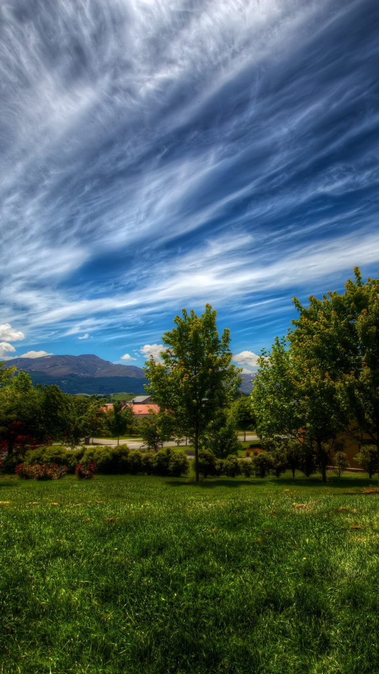 Green Grass Field With Trees Under Blue Sky and White Clouds During Daytime. Wallpaper in 750x1334 Resolution