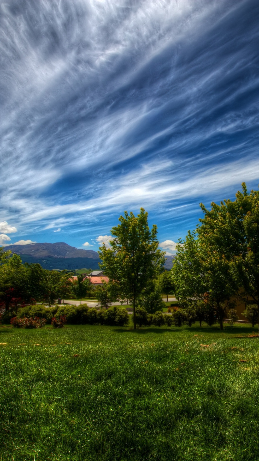 Campo de Hierba Verde Con Árboles Bajo un Cielo Azul y Nubes Blancas Durante el Día. Wallpaper in 1080x1920 Resolution