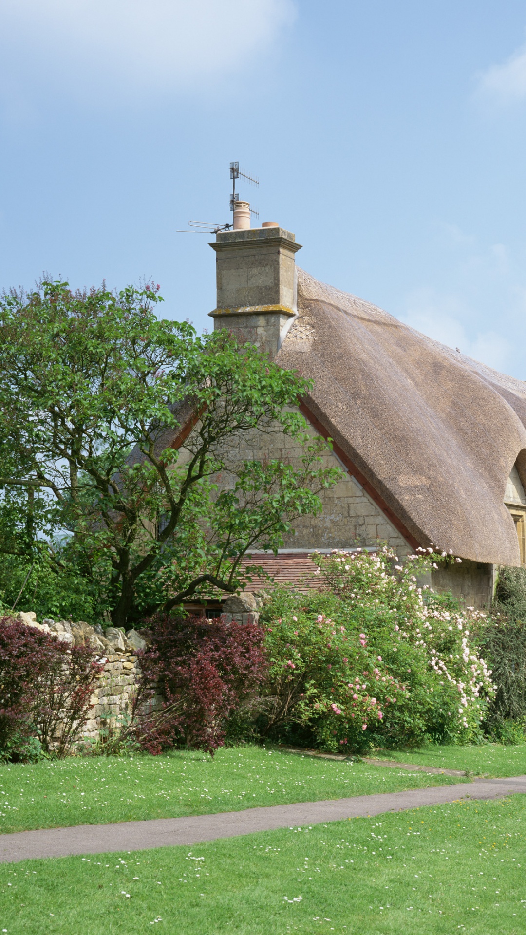 Braunes Betonhaus in Der Nähe Von Grünen Bäumen Unter Weißen Wolken Tagsüber. Wallpaper in 1080x1920 Resolution