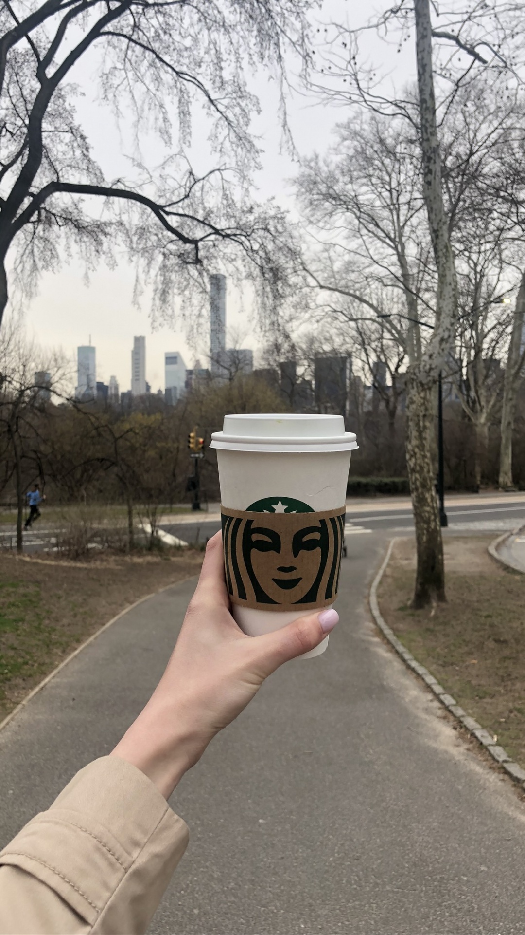 Baum, Street, Wissenschaft, Menschliche Biologie, Nervensystem. Wallpaper in 1080x1920 Resolution