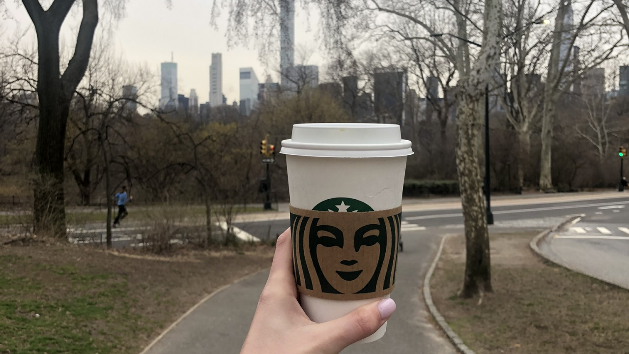 街, 科学, 手指, 木本植物, 拇指 壁纸 1280x720 允许