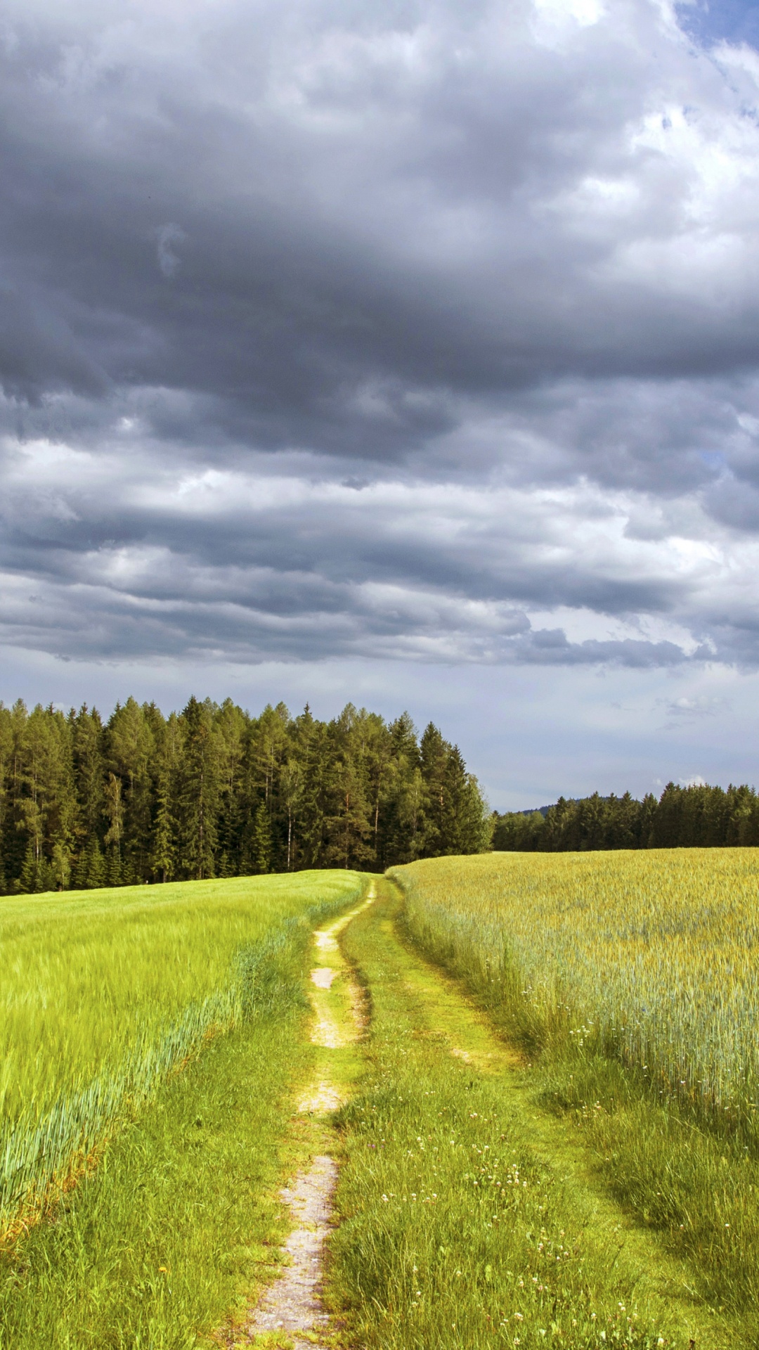 Green Grass Field Under Cloudy Sky During Daytime. Wallpaper in 1080x1920 Resolution