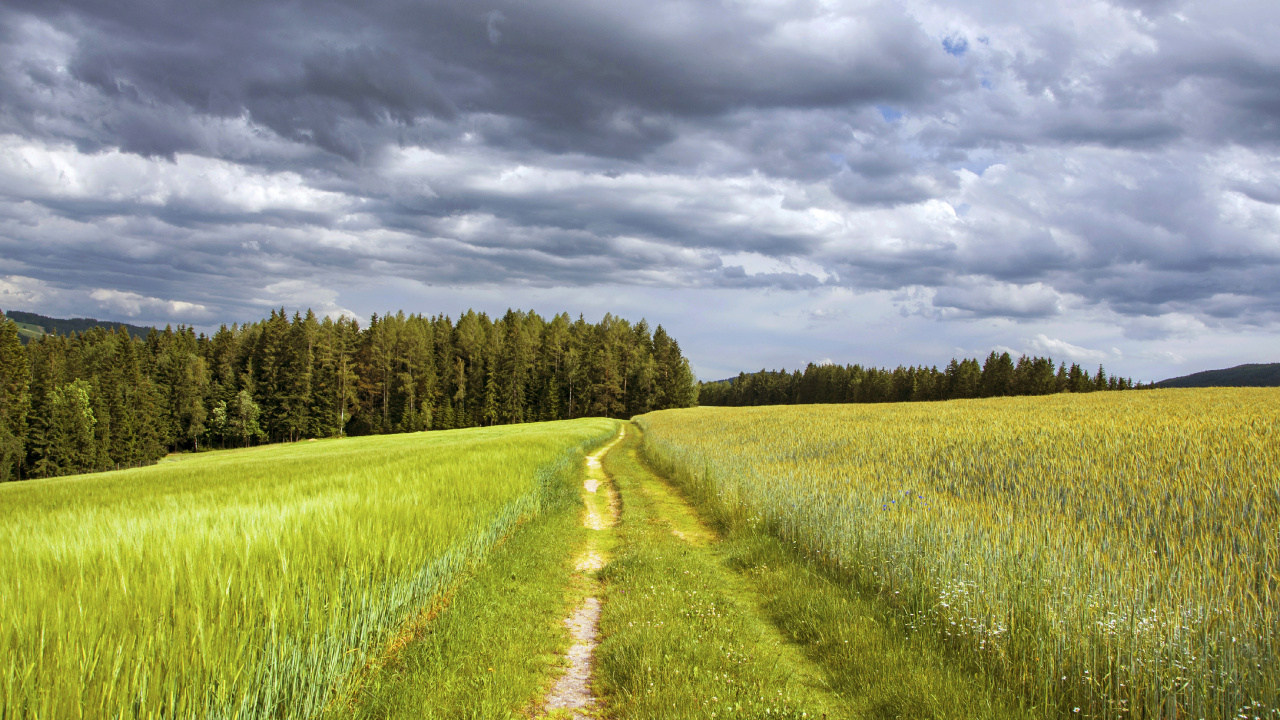 Green Grass Field Under Cloudy Sky During Daytime. Wallpaper in 1280x720 Resolution