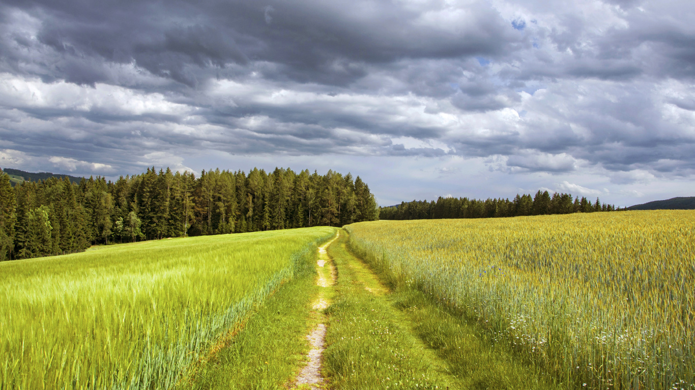 Green Grass Field Under Cloudy Sky During Daytime. Wallpaper in 1366x768 Resolution