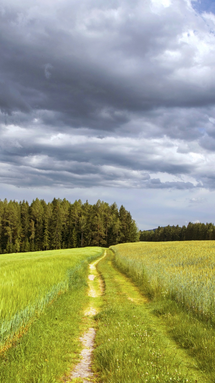 Green Grass Field Under Cloudy Sky During Daytime. Wallpaper in 720x1280 Resolution
