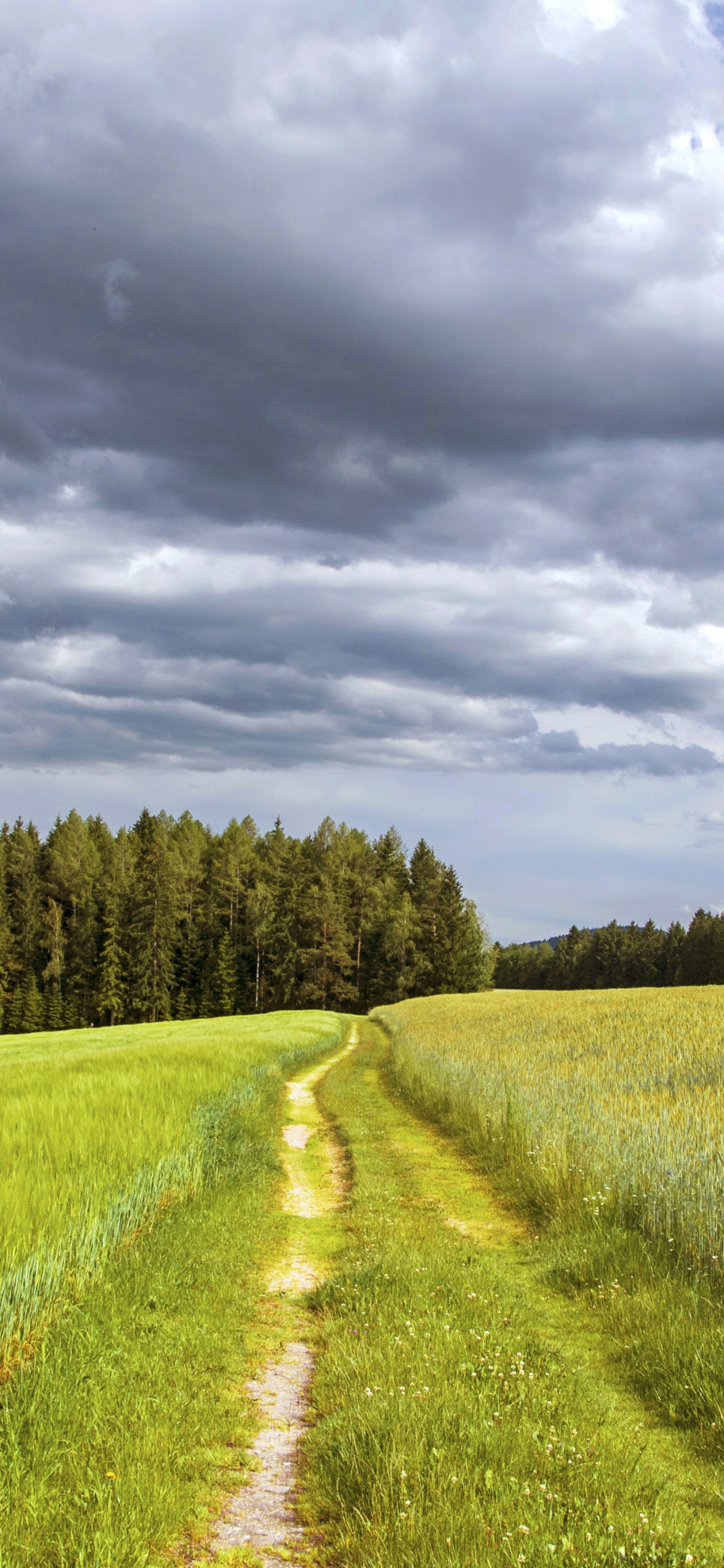 Champ D'herbe Verte Sous un Ciel Nuageux Pendant la Journée. Wallpaper in 1125x2436 Resolution