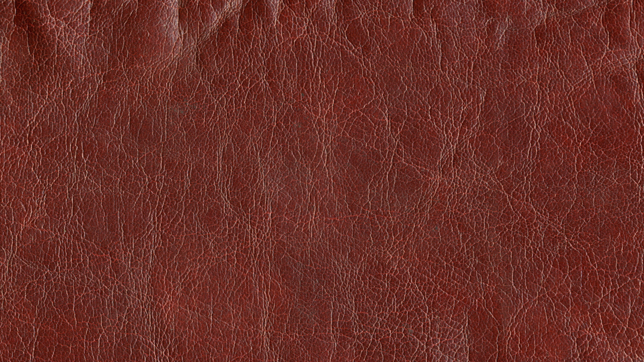 Red Textile in Close up Photography. Wallpaper in 2560x1440 Resolution