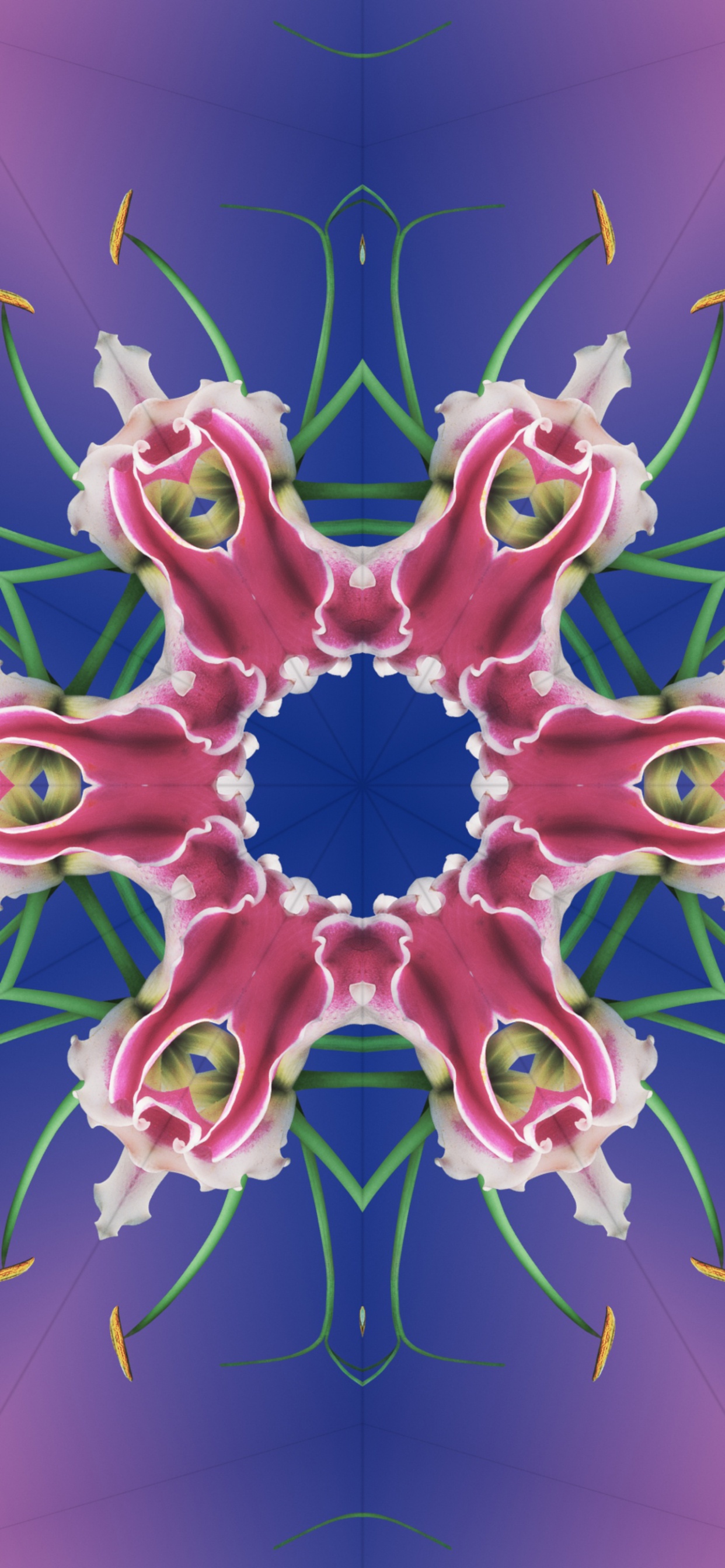 Ios 17, Ios 17 Kaleidoscope, Apples, Ios 16, Iclarified. Wallpaper in 1242x2688 Resolution