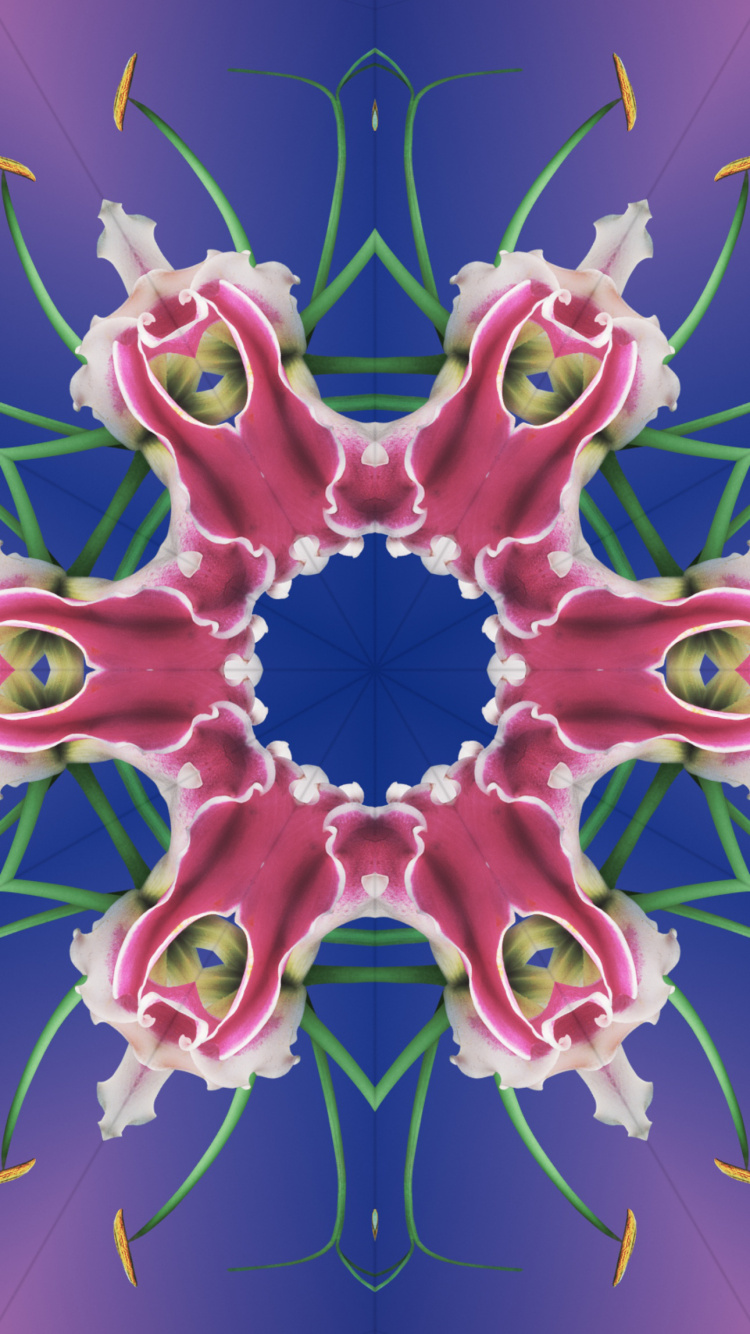 Ios 17, Ios 17 Kaleidoscope, Apples, Ios 16, Iclarified. Wallpaper in 750x1334 Resolution