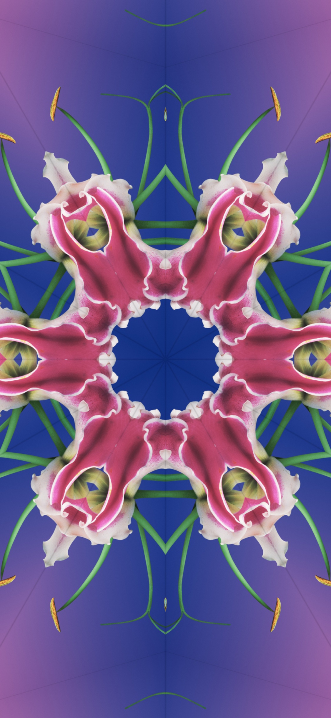 Download 1125x2436 Wallpaper Ios 17, Kaléidoscope IOS 17, Apple, Ios 16, Iclarifié Ios 17, Kaléidoscope IOS 17, Apple, Ios 16, Iclarifié. Wallpaper in 1125x2436 Resolution