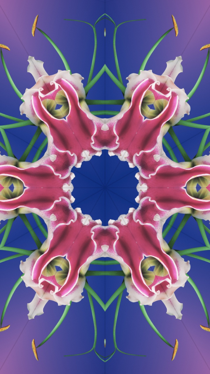 Ios 17, Kaléidoscope IOS 17, Apple, Ios 16, Iclarifié. Wallpaper in 720x1280 Resolution