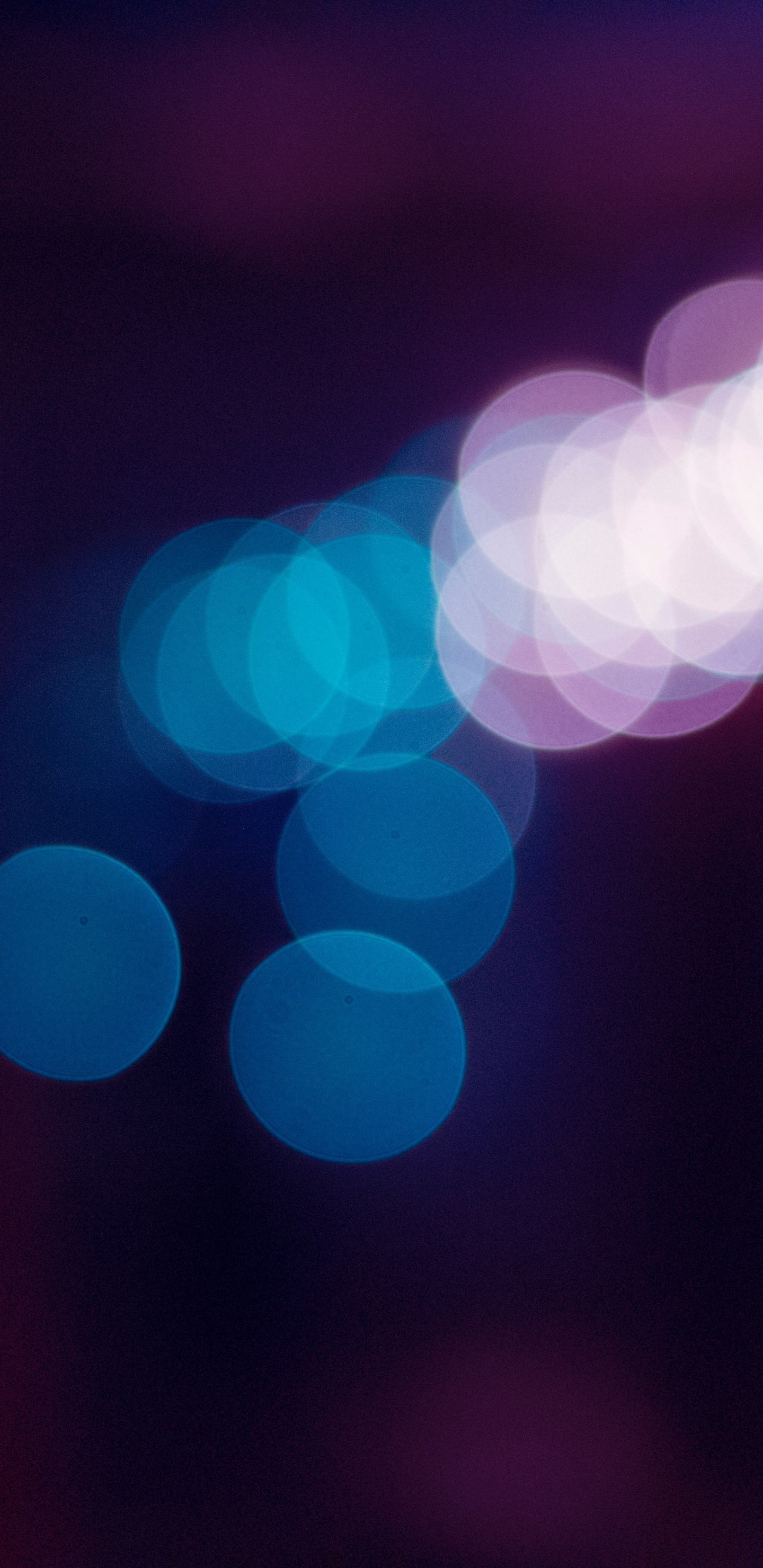 Blaue Und Weiße Bokeh-Lichter. Wallpaper in 1440x2960 Resolution