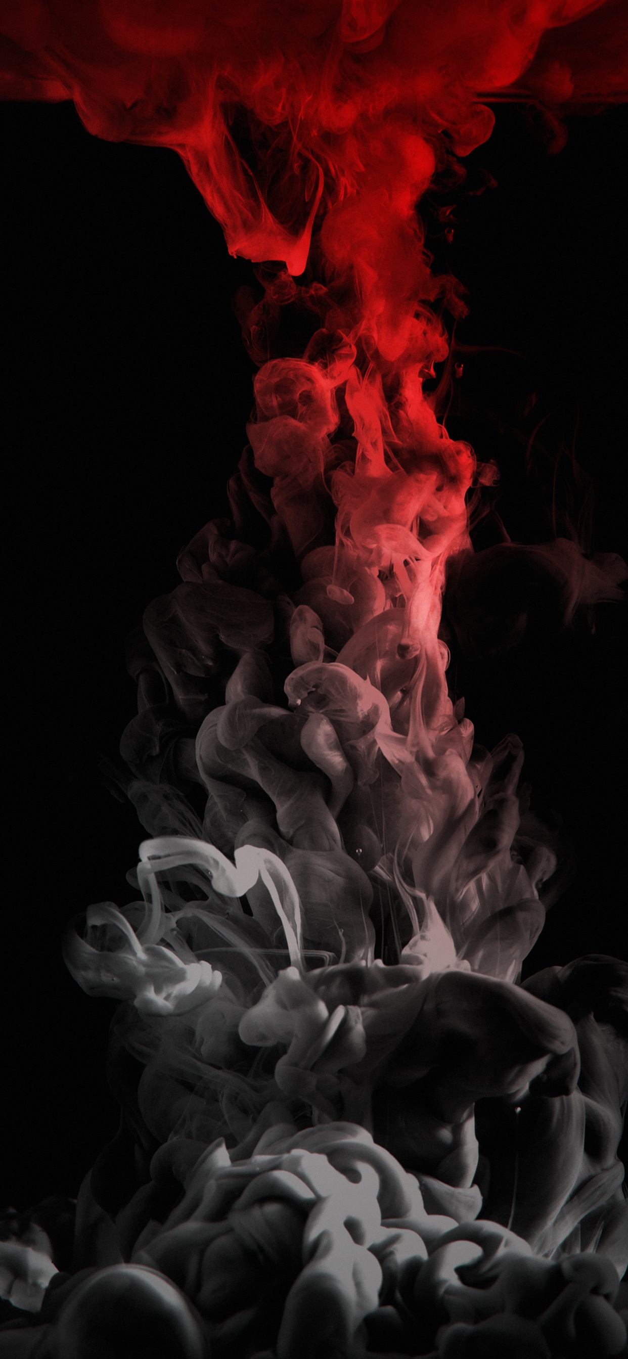 Obscurité, Gaz, Événement, Art, Pétale. Wallpaper in 1242x2688 Resolution