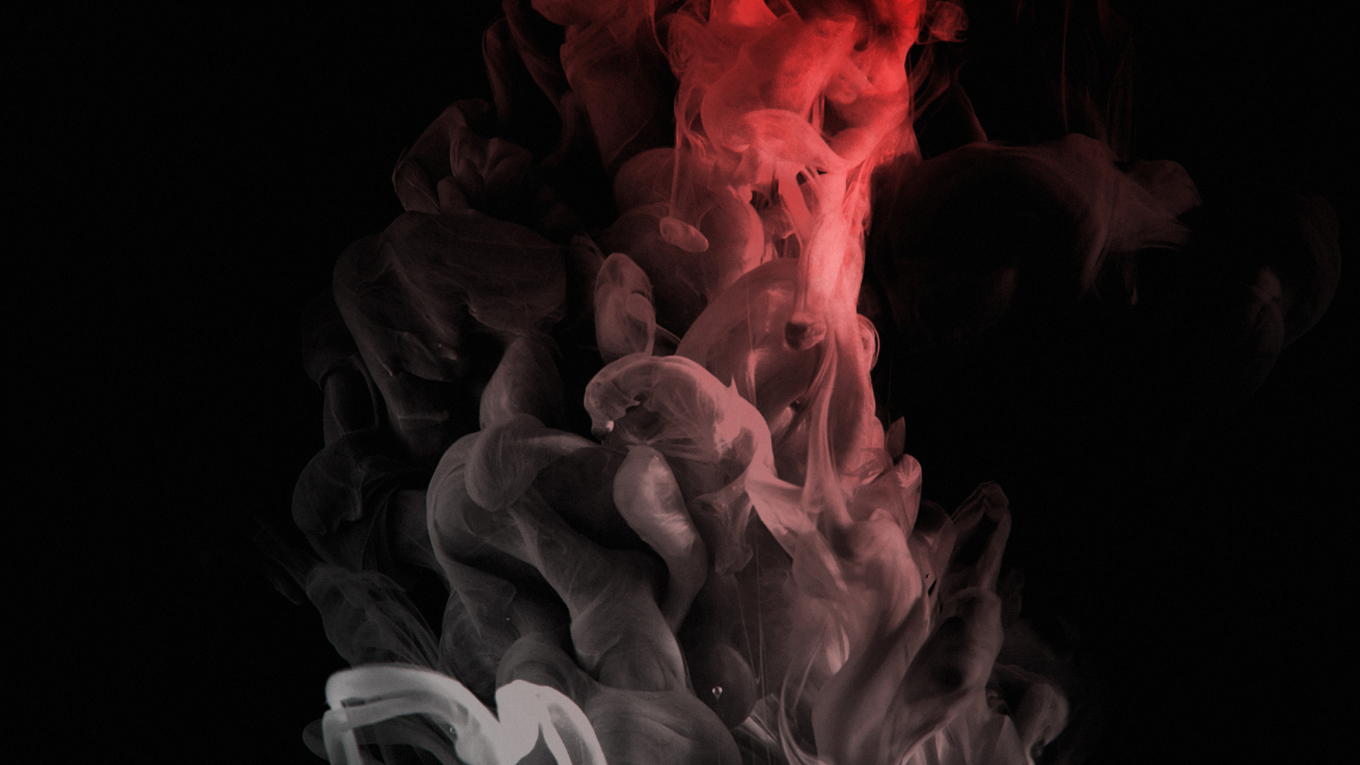 Obscurité, Gaz, Événement, Art, Pétale. Wallpaper in 1920x1080 Resolution