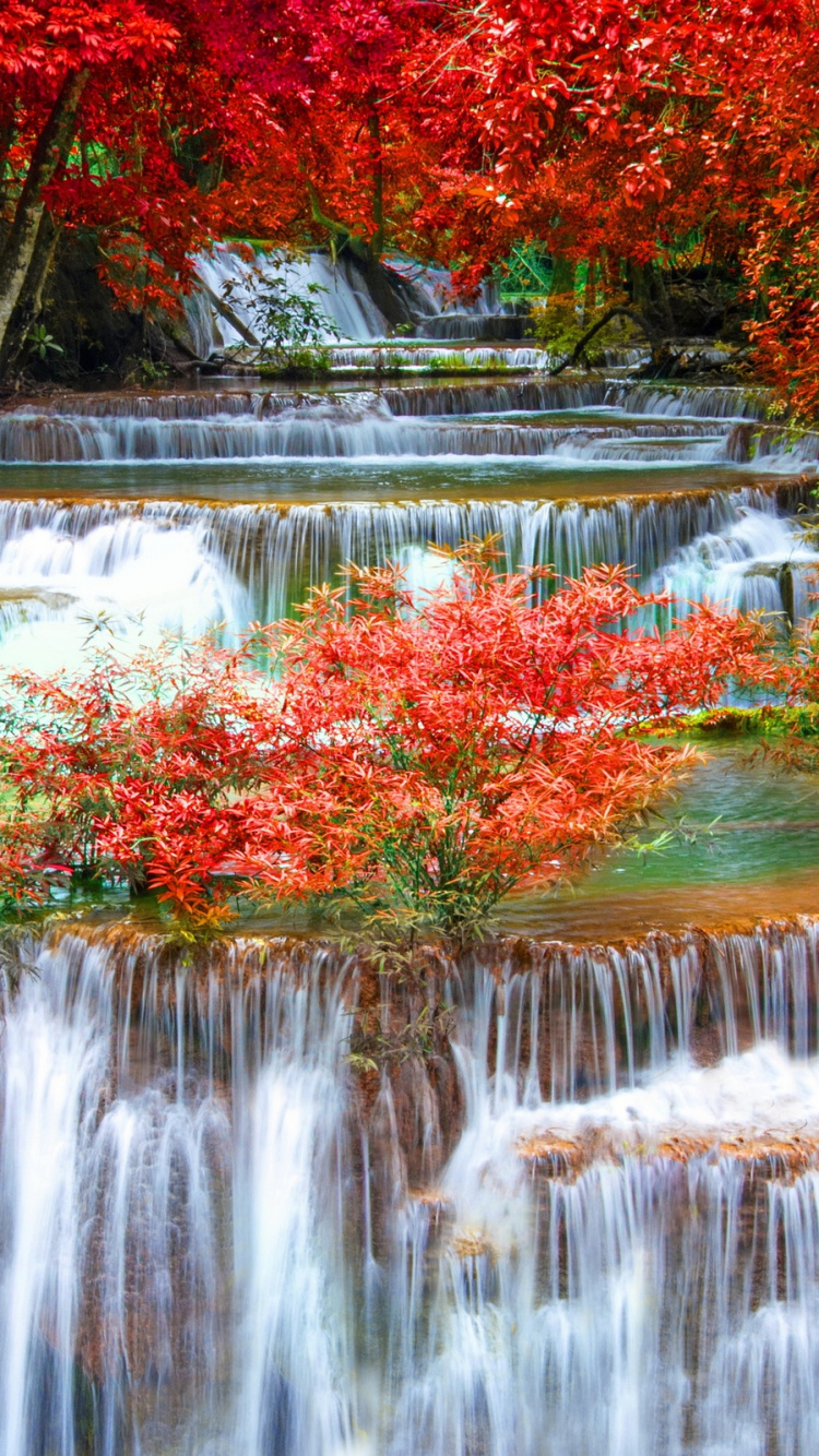Árboles Rojos y Marrones al Lado Del Río. Wallpaper in 750x1334 Resolution