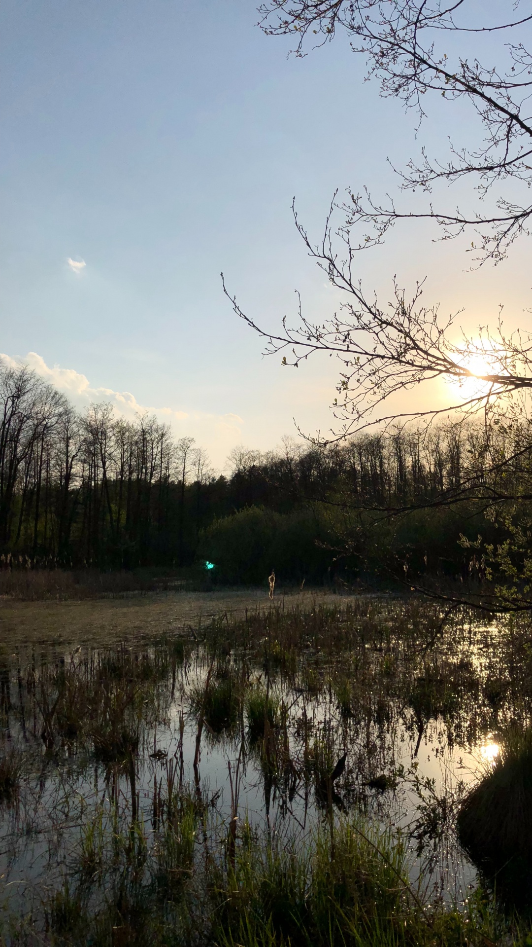 Réflexion, Nature, Paysage Naturel, Environnement Naturel, Marécage. Wallpaper in 1080x1920 Resolution