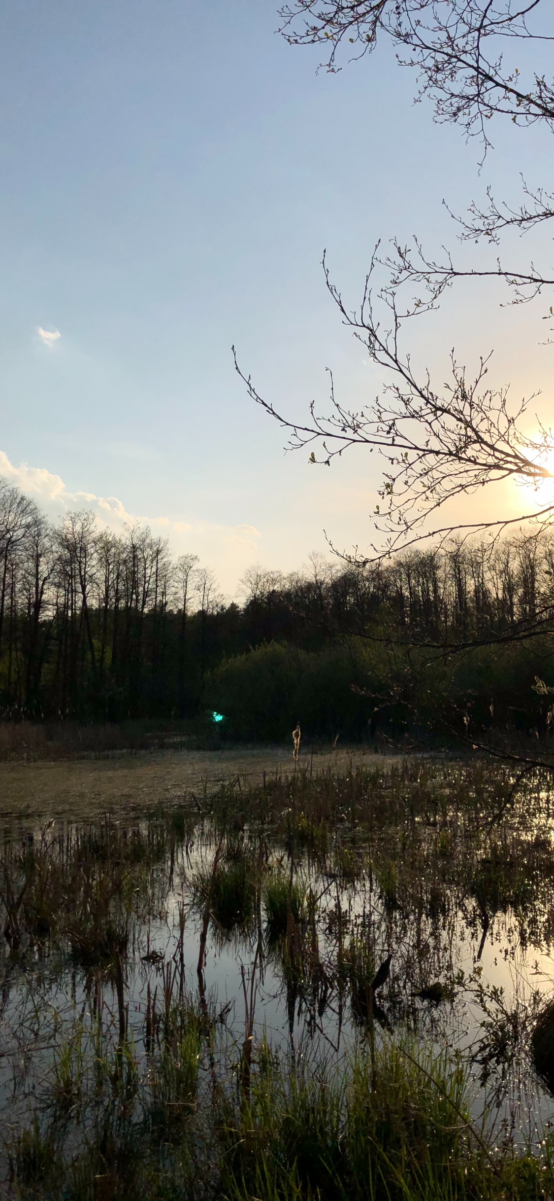 Réflexion, Nature, Paysage Naturel, Environnement Naturel, Marécage. Wallpaper in 1125x2436 Resolution