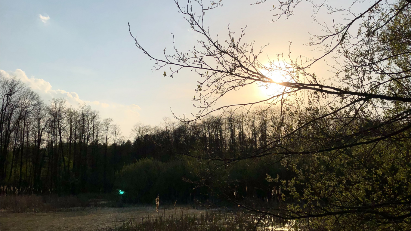 Réflexion, Nature, Paysage Naturel, Environnement Naturel, Marécage. Wallpaper in 1366x768 Resolution