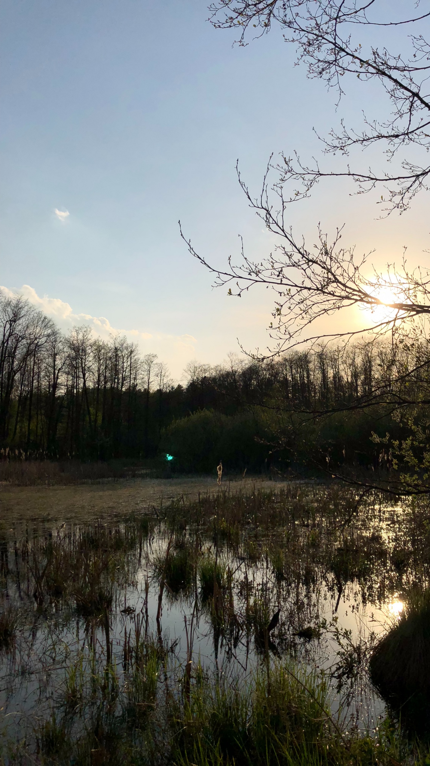 Réflexion, Nature, Paysage Naturel, Environnement Naturel, Marécage. Wallpaper in 1440x2560 Resolution