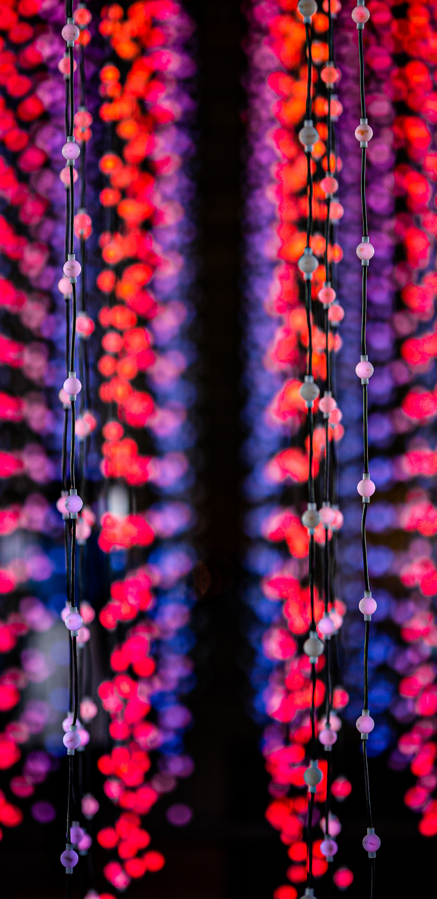 Guirlandes Lumineuses Rouges et Jaunes. Wallpaper in 1440x2960 Resolution