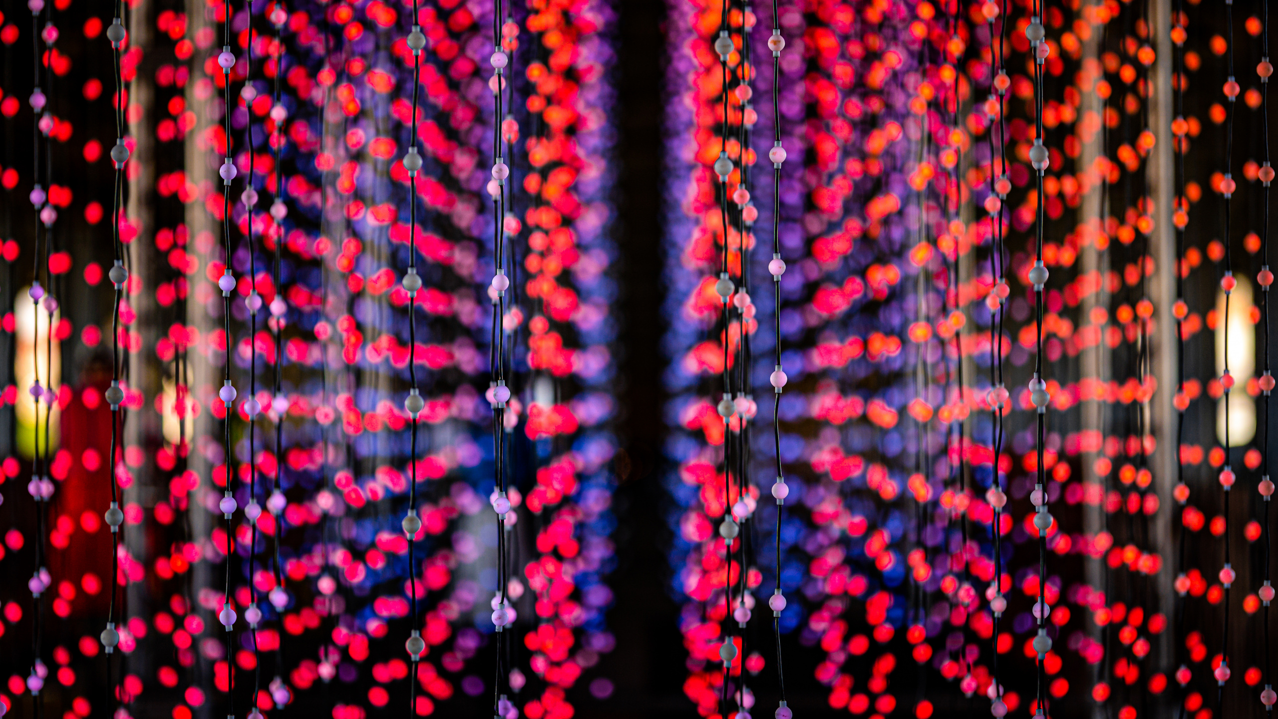 Luces de Cadena Rojas y Amarillas. Wallpaper in 2560x1440 Resolution