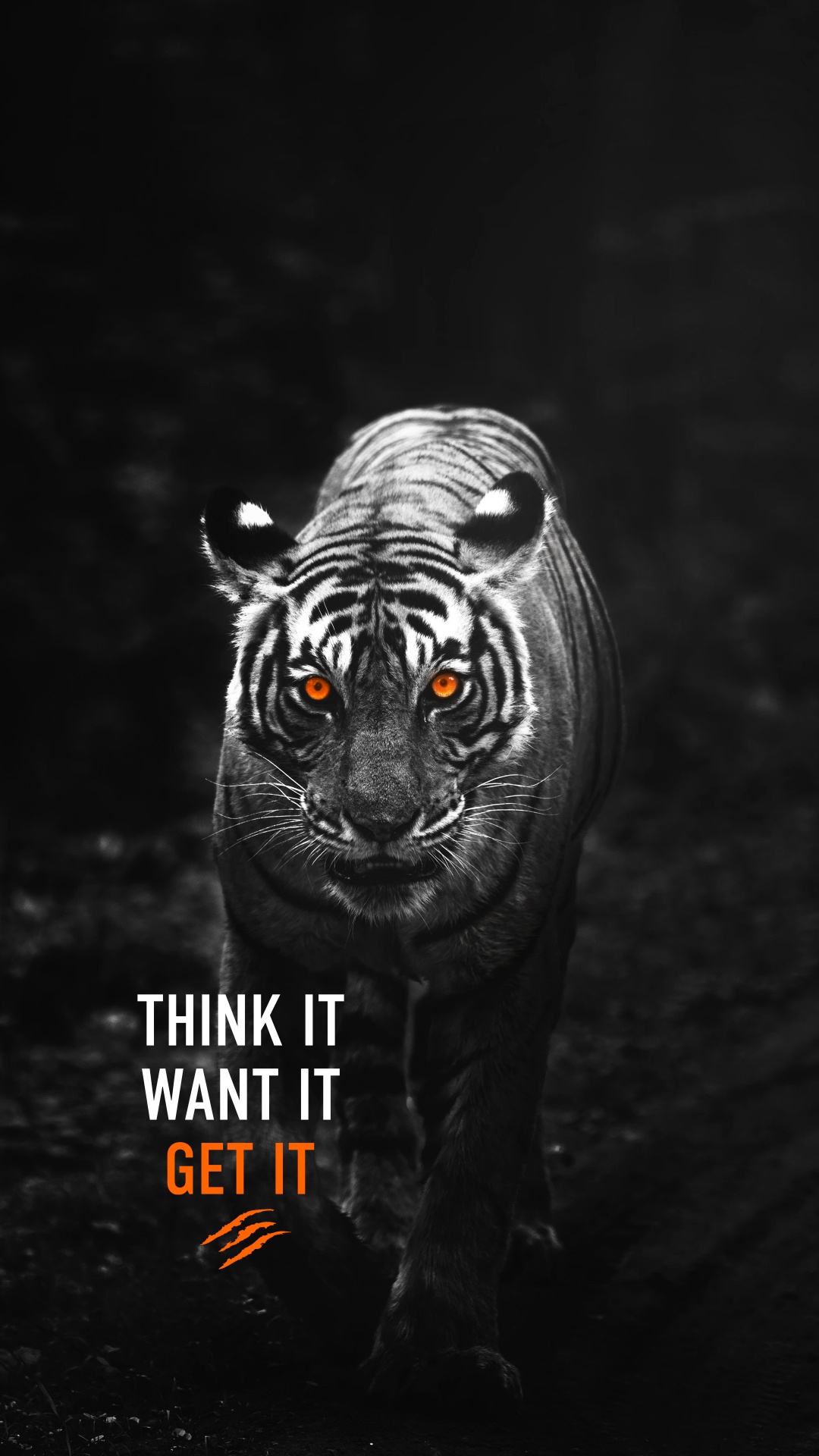 Creo Que lo Quiere, lo Consigue, Tigre., Tigre, Android, Tigre Siberiano, Tigre de Bengala. Wallpaper in 1080x1920 Resolution