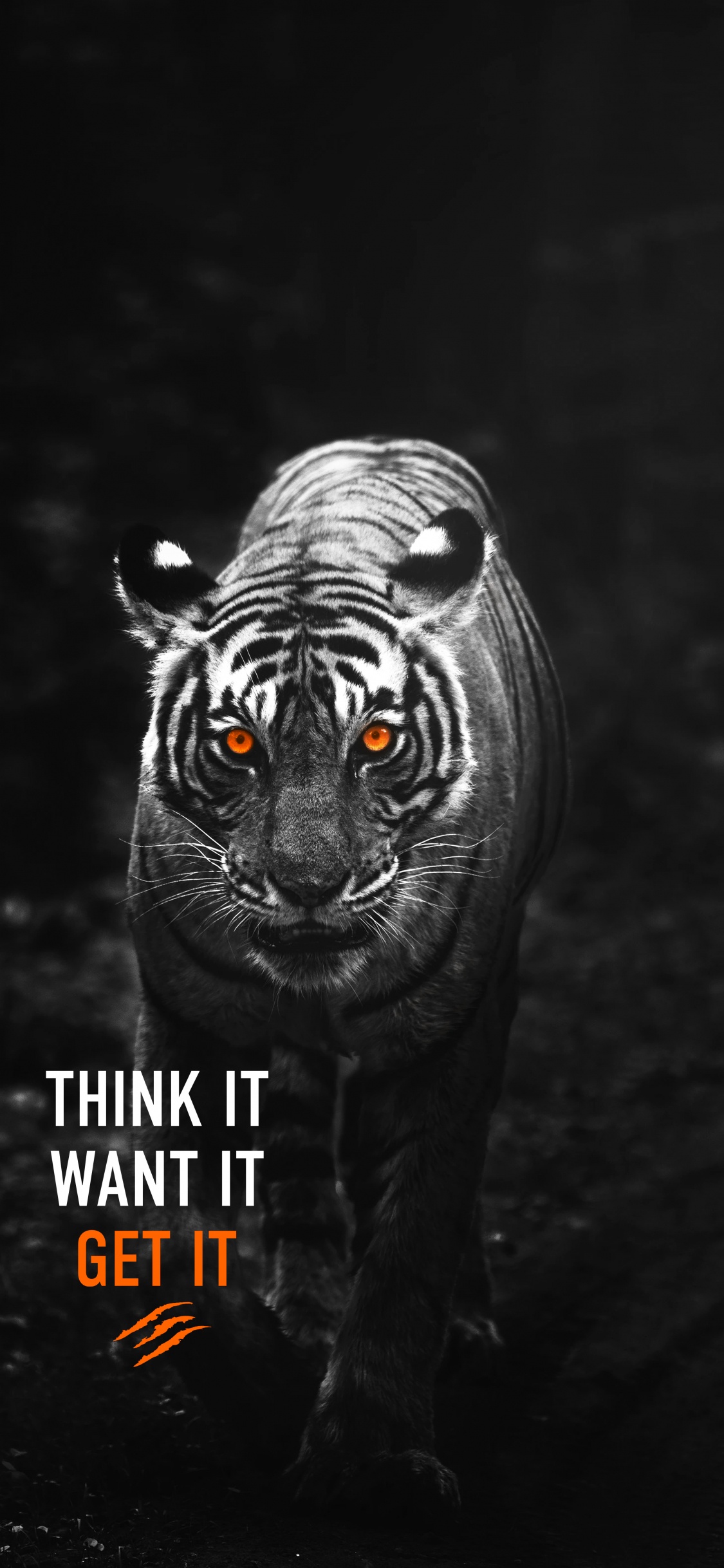 Denke es Will es Bekommen Tiger, Tiger, Android, Sibirischer Tiger, Bengal Tiger. Wallpaper in 1125x2436 Resolution