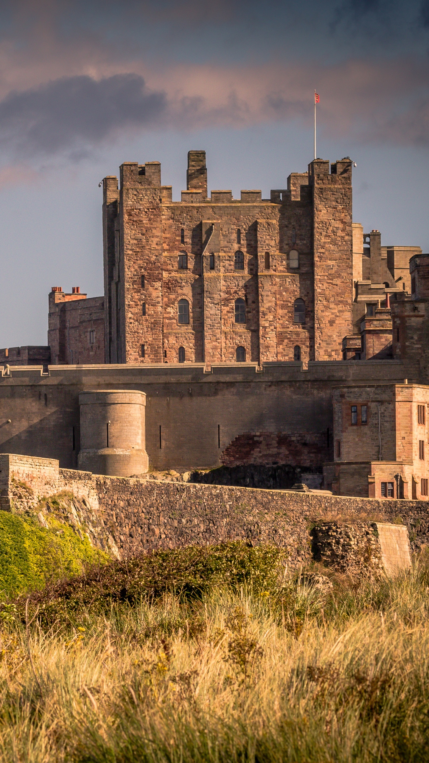 Edificio de Hormigón Marrón en el Campo de Hierba Verde Durante el Día. Wallpaper in 1440x2560 Resolution