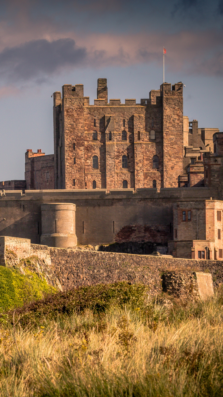 Edificio de Hormigón Marrón en el Campo de Hierba Verde Durante el Día. Wallpaper in 750x1334 Resolution