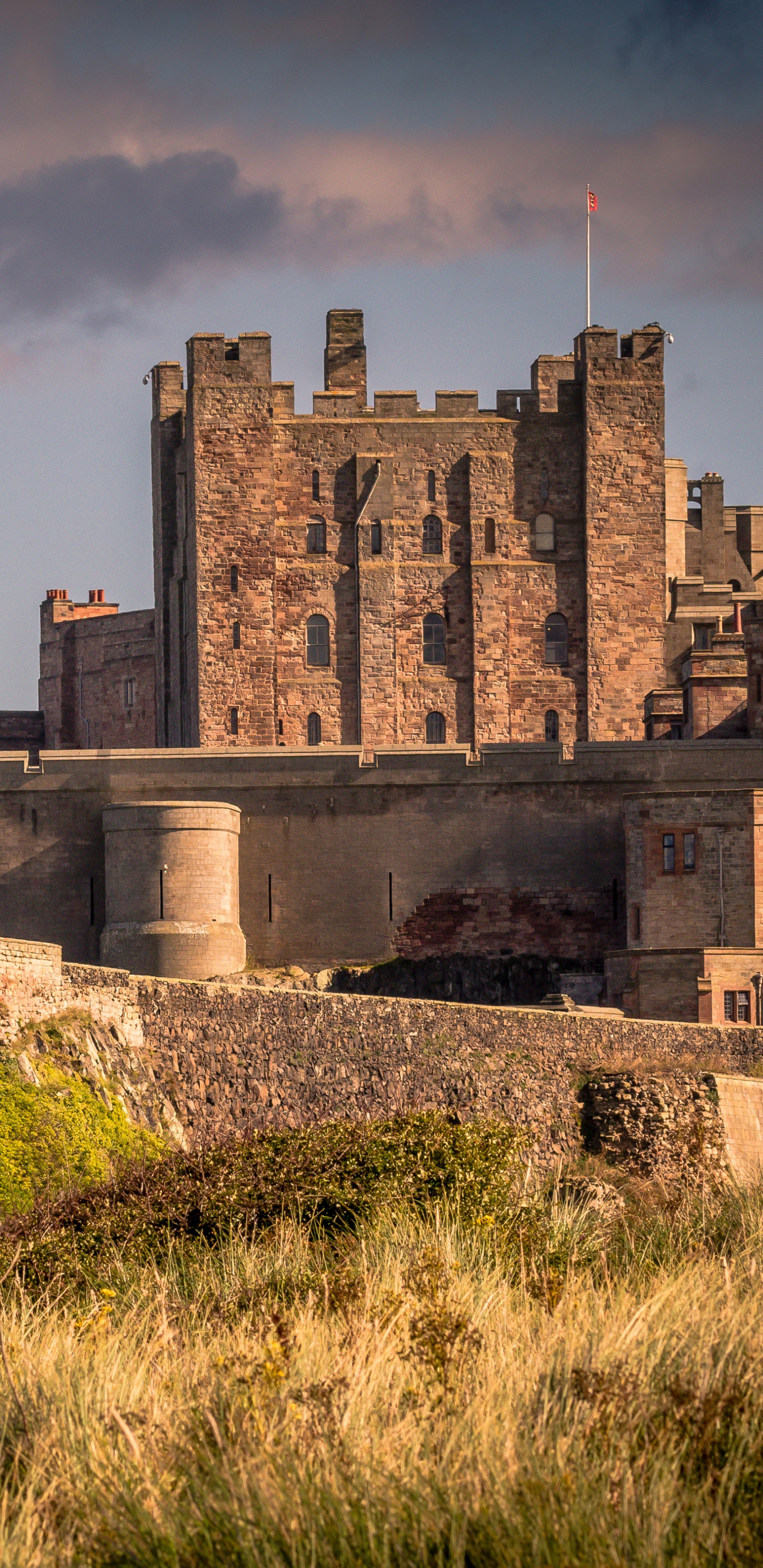 Bâtiment en Béton Marron Sur Terrain D'herbe Verte Pendant la Journée. Wallpaper in 1440x2960 Resolution