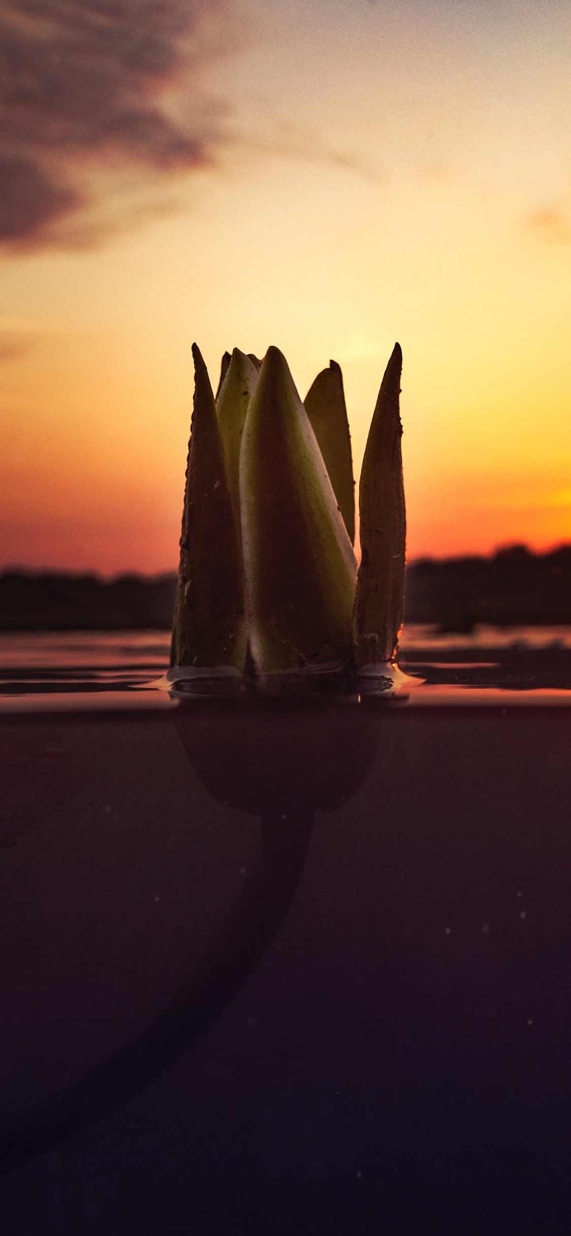 Silhouette of Sailboat on Sea During Sunset. Wallpaper in 1125x2436 Resolution