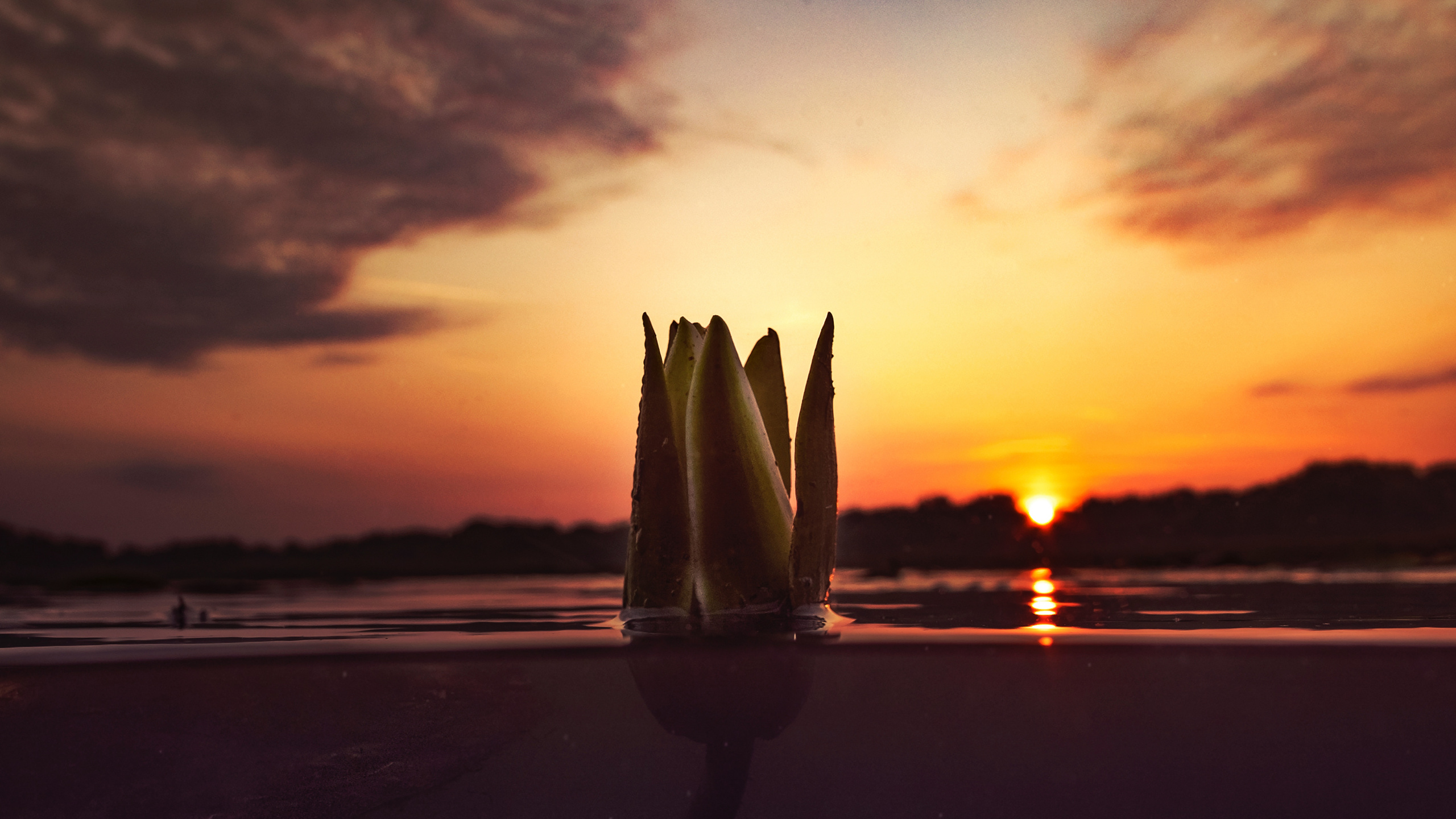 Silhouette of Sailboat on Sea During Sunset. Wallpaper in 2560x1440 Resolution