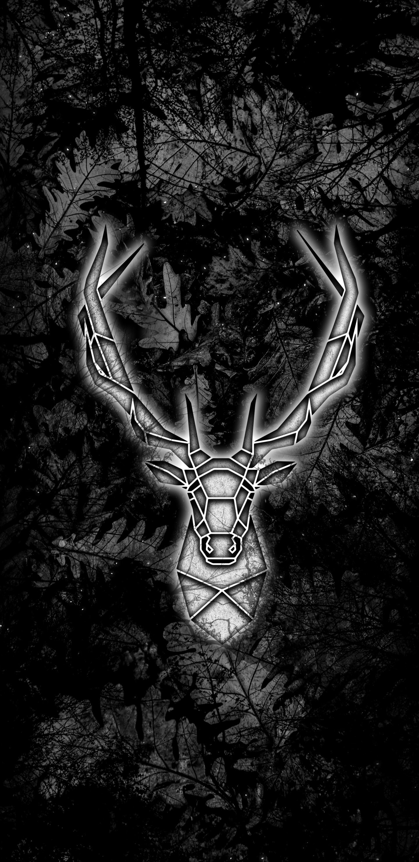 Geste, Art, Obscurité, Symétrie. Wallpaper in 1440x2960 Resolution