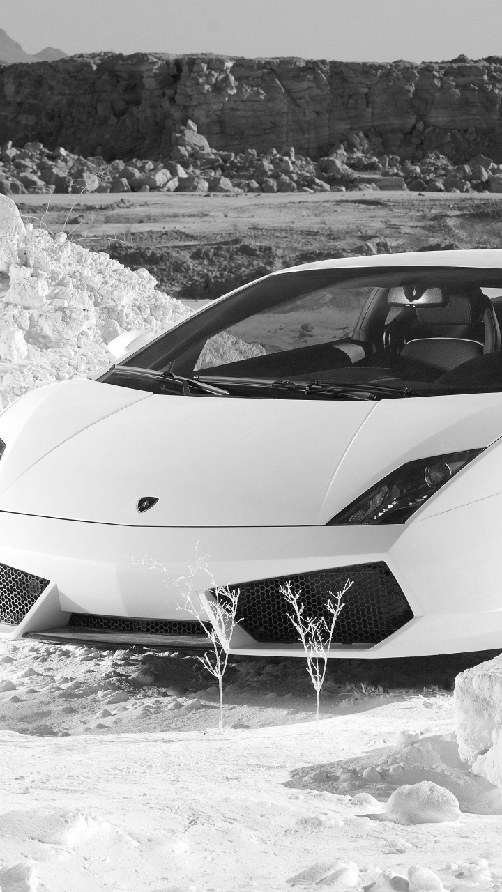 Weißer Lamborghini Aventador Auf Schneebedecktem Boden. Wallpaper in 720x1280 Resolution