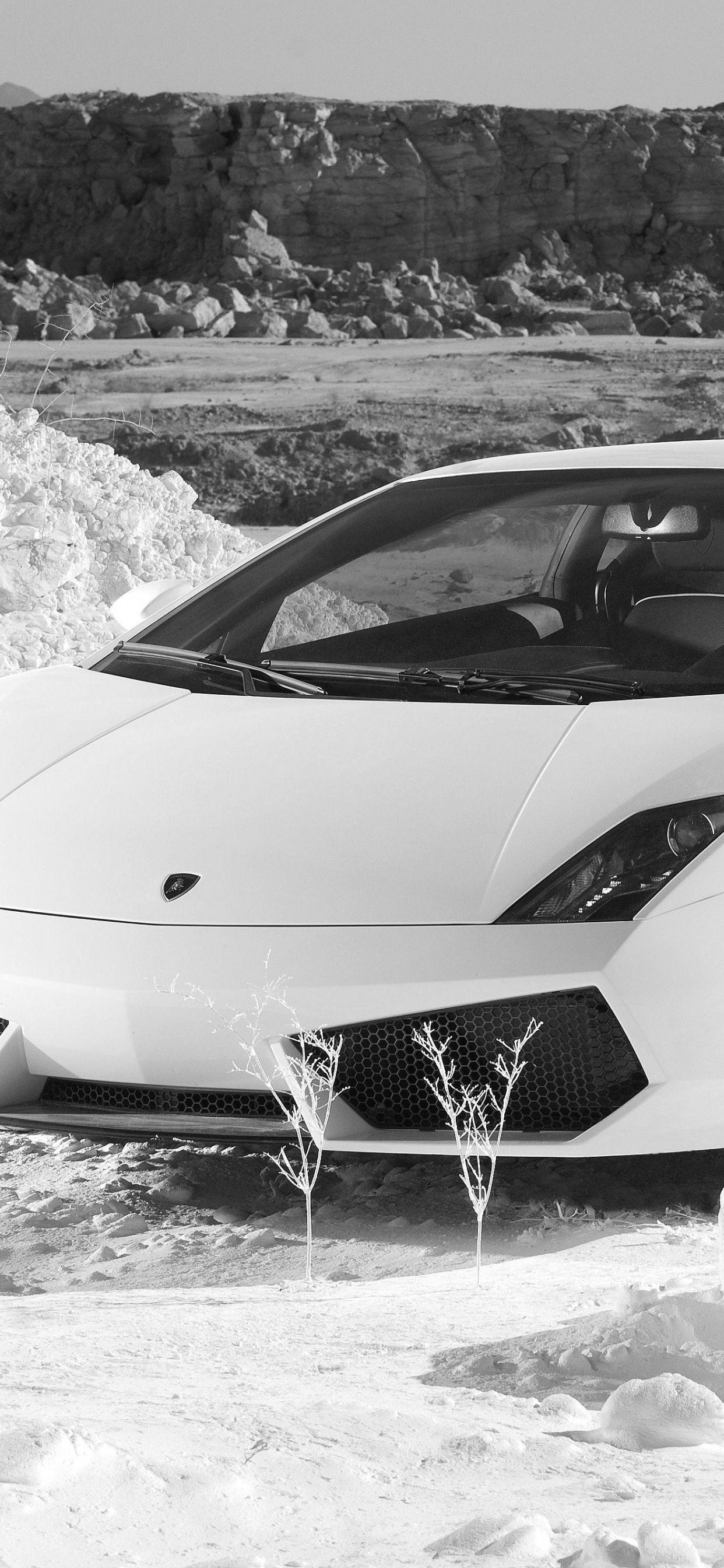 White Lamborghini Aventador on Snow Covered Ground. Wallpaper in 1242x2688 Resolution