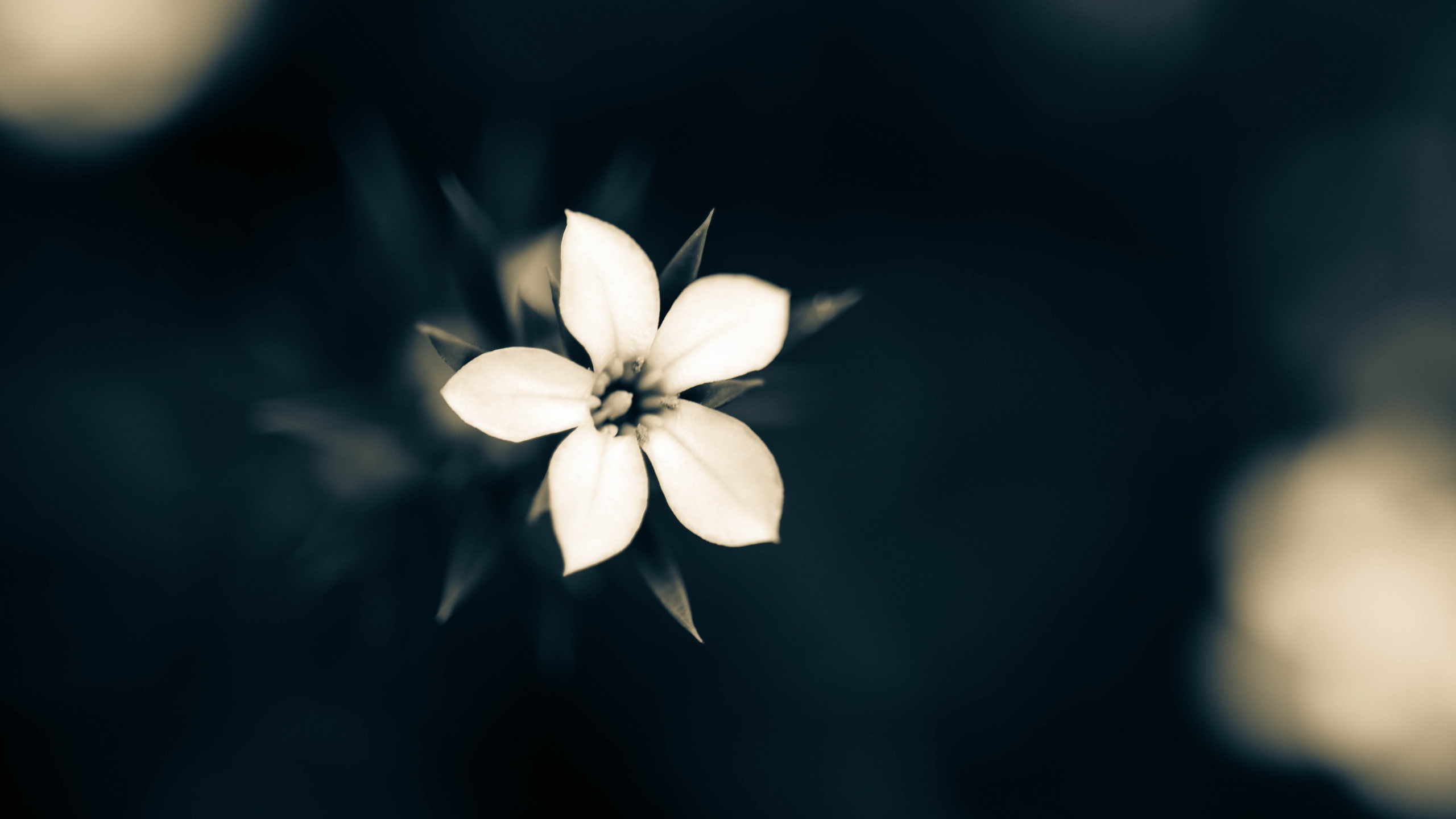 光, 关闭了, 天空, Apple 壁纸 2560x1440 允许