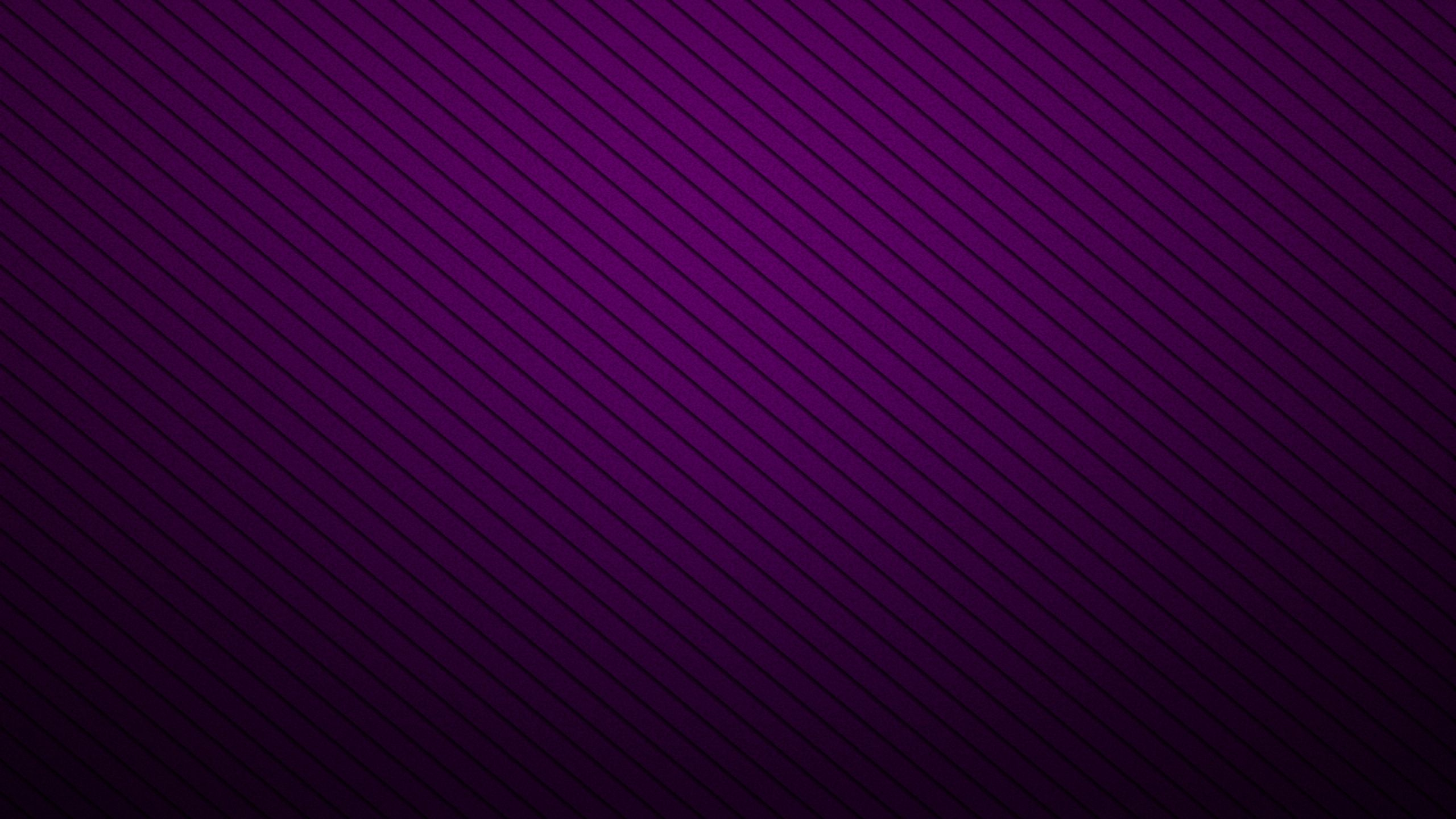 紫色的, 颜色, 黑色的, 紫罗兰色, 品红色 壁纸 2560x1440 允许
