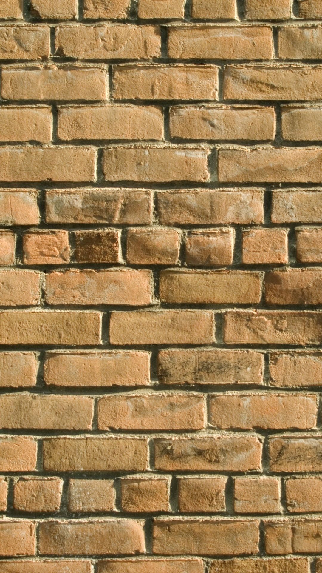 Pared de Ladrillo Blanco y Marrón. Wallpaper in 1080x1920 Resolution