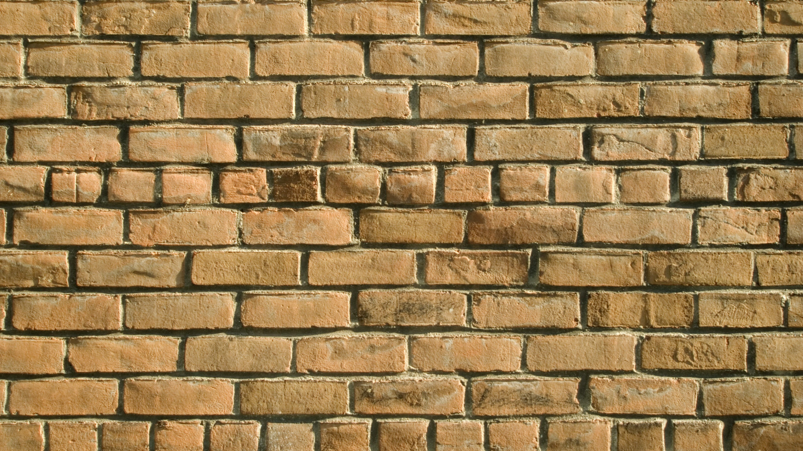 Mur de Briques Marron et Blanc. Wallpaper in 2560x1440 Resolution