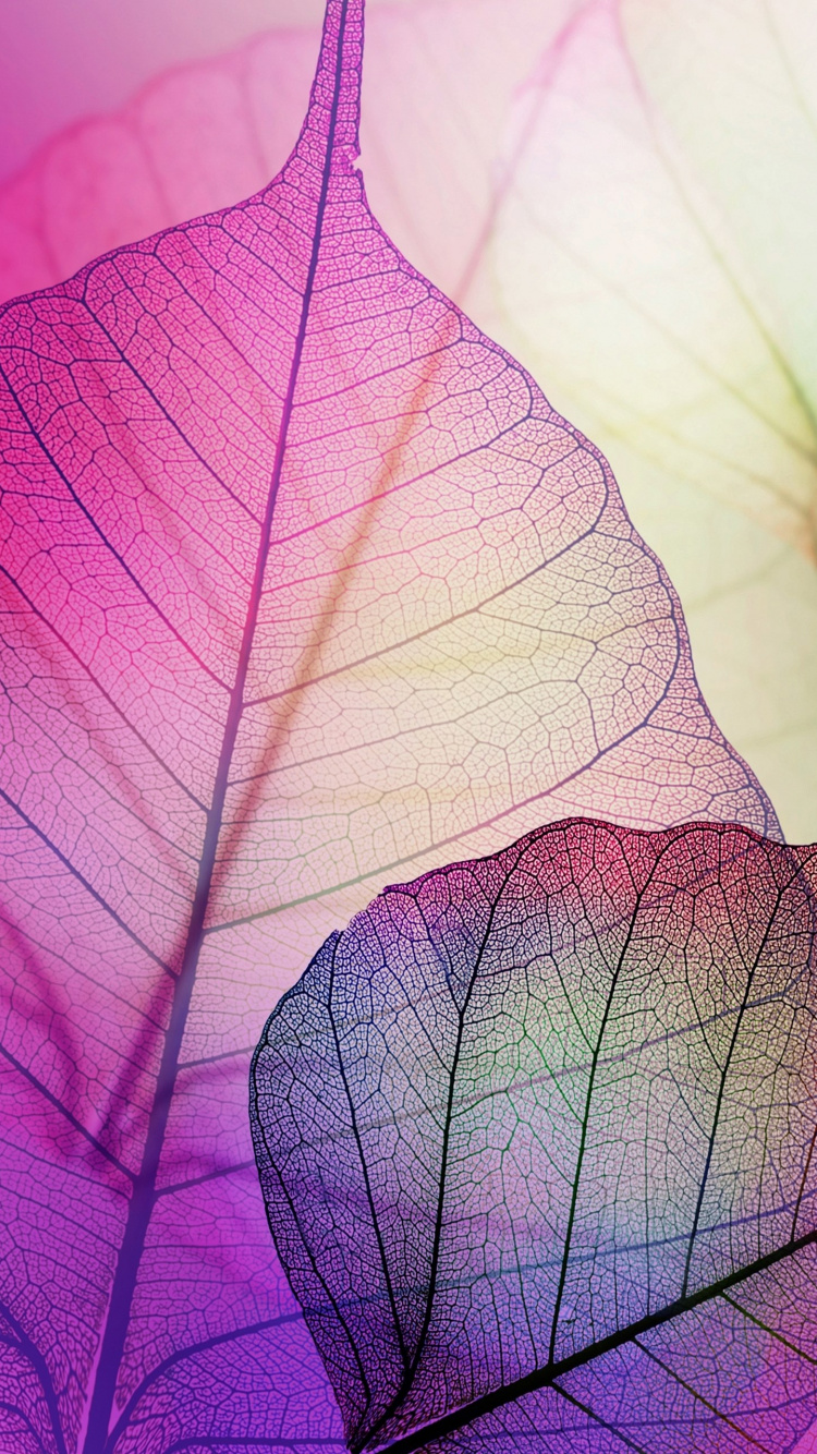 Illustration de Feuille Violette et Blanche. Wallpaper in 750x1334 Resolution