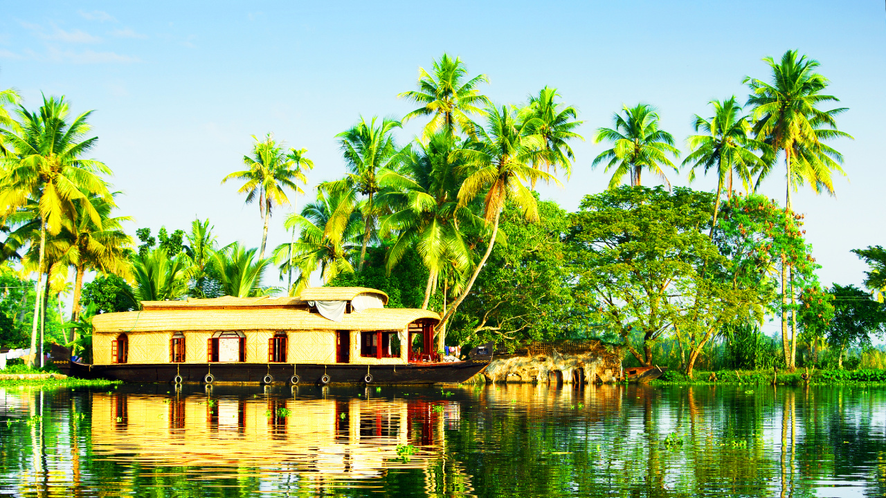 Green Palm Trees Near Body of Water During Daytime. Wallpaper in 1280x720 Resolution