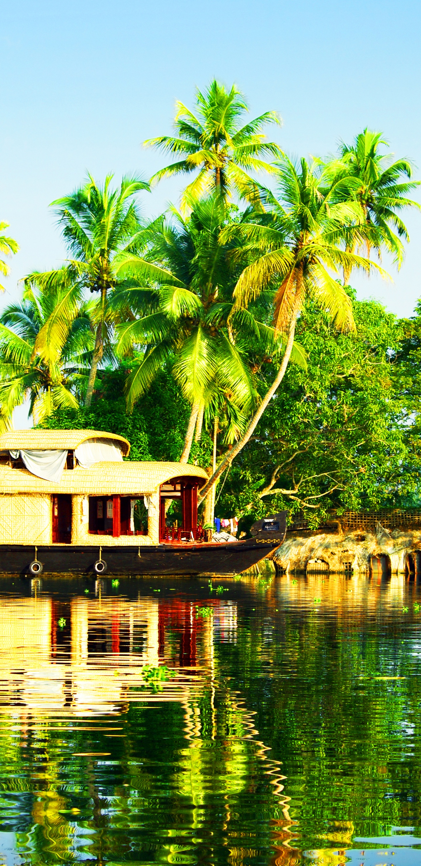 Green Palm Trees Near Body of Water During Daytime. Wallpaper in 1440x2960 Resolution