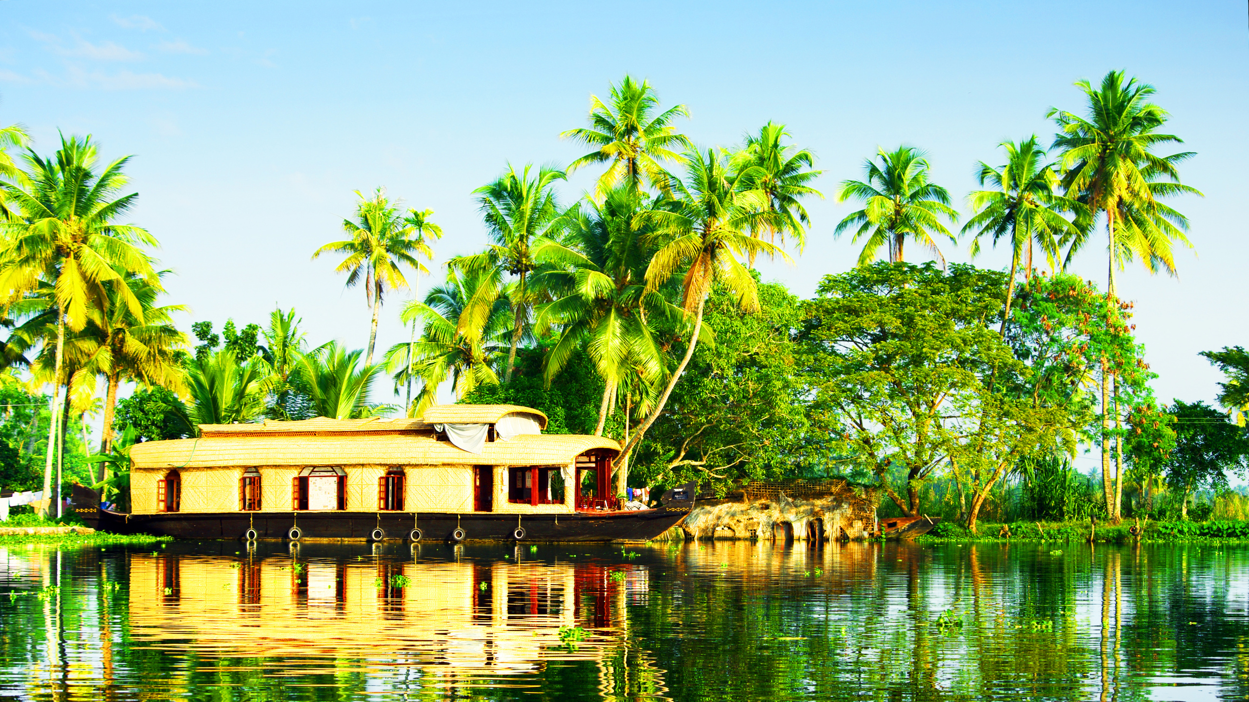 Green Palm Trees Near Body of Water During Daytime. Wallpaper in 2560x1440 Resolution