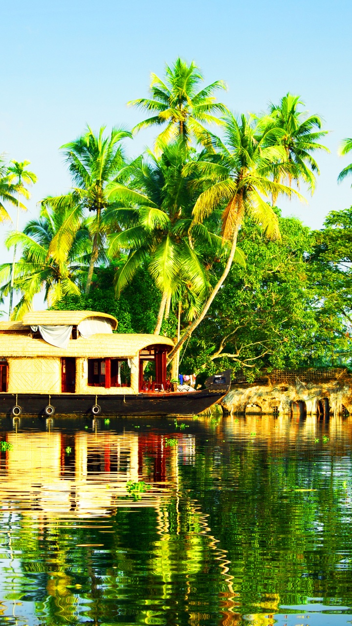 Green Palm Trees Near Body of Water During Daytime. Wallpaper in 720x1280 Resolution