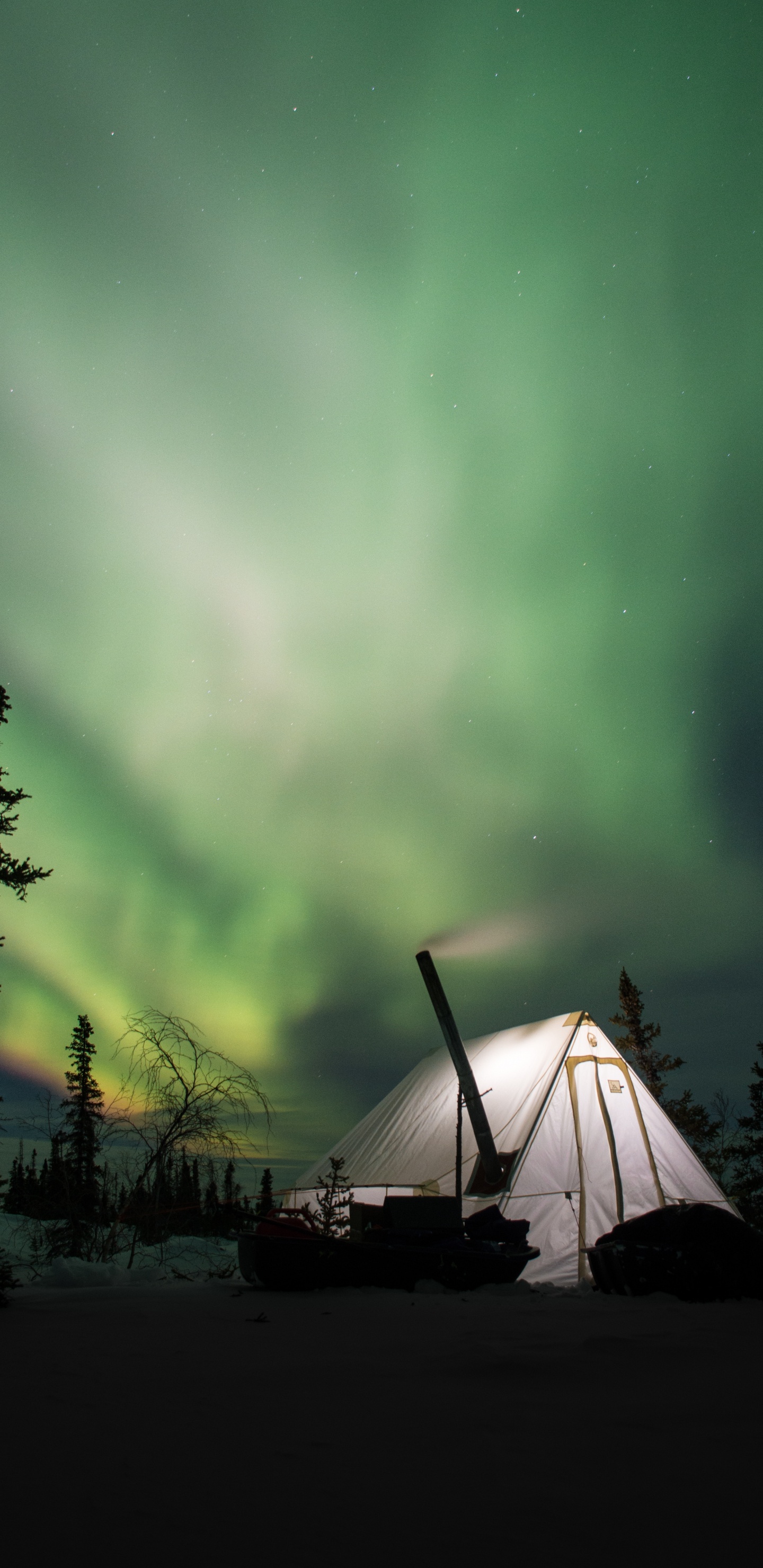 Aurora, Nature, Green, Cloud, Tree. Wallpaper in 1440x2960 Resolution