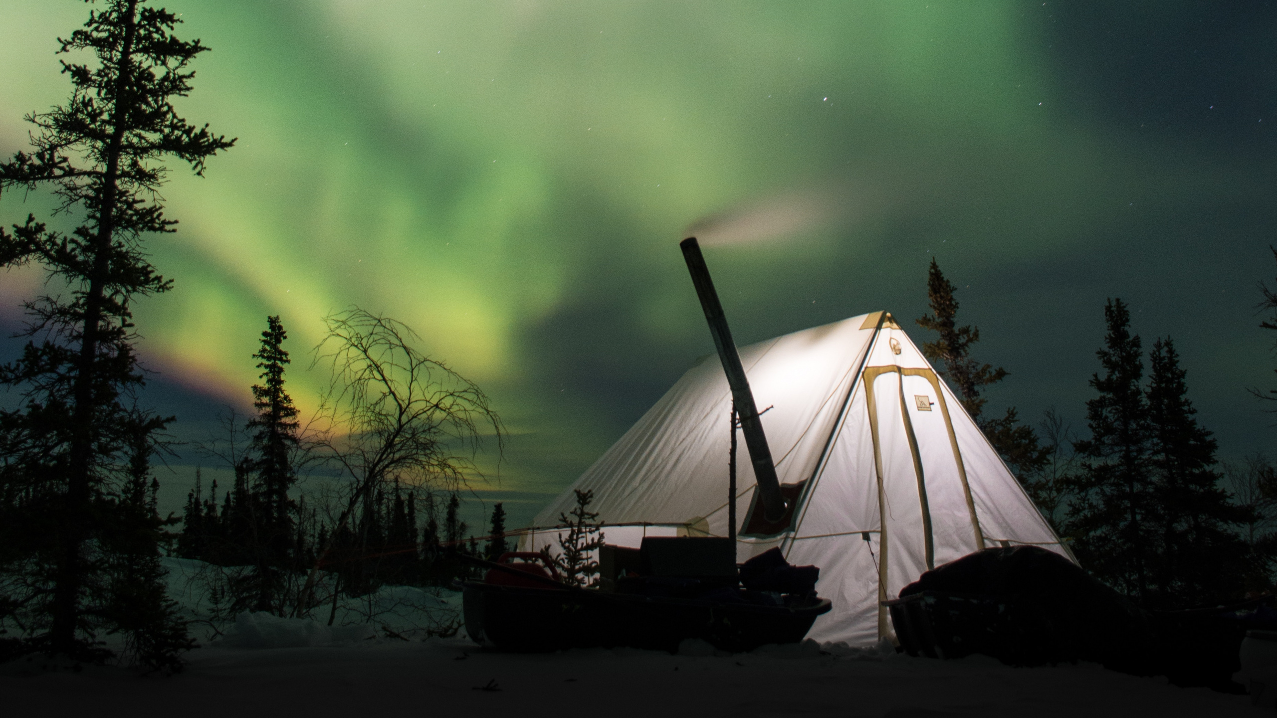 Aurora, Nature, Green, Cloud, Tree. Wallpaper in 2560x1440 Resolution