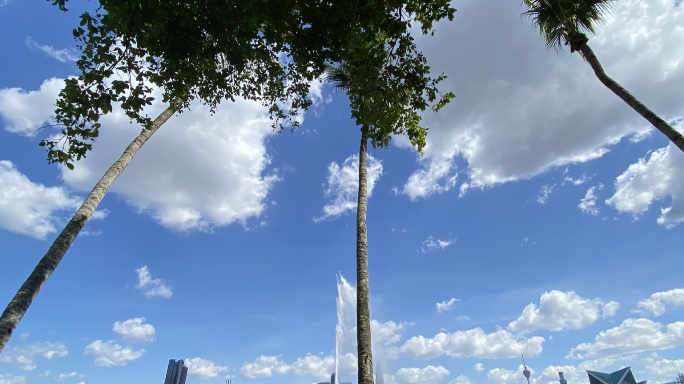 反射, 性质, 水资源, 自然景观, 银行 壁纸 1366x768 允许