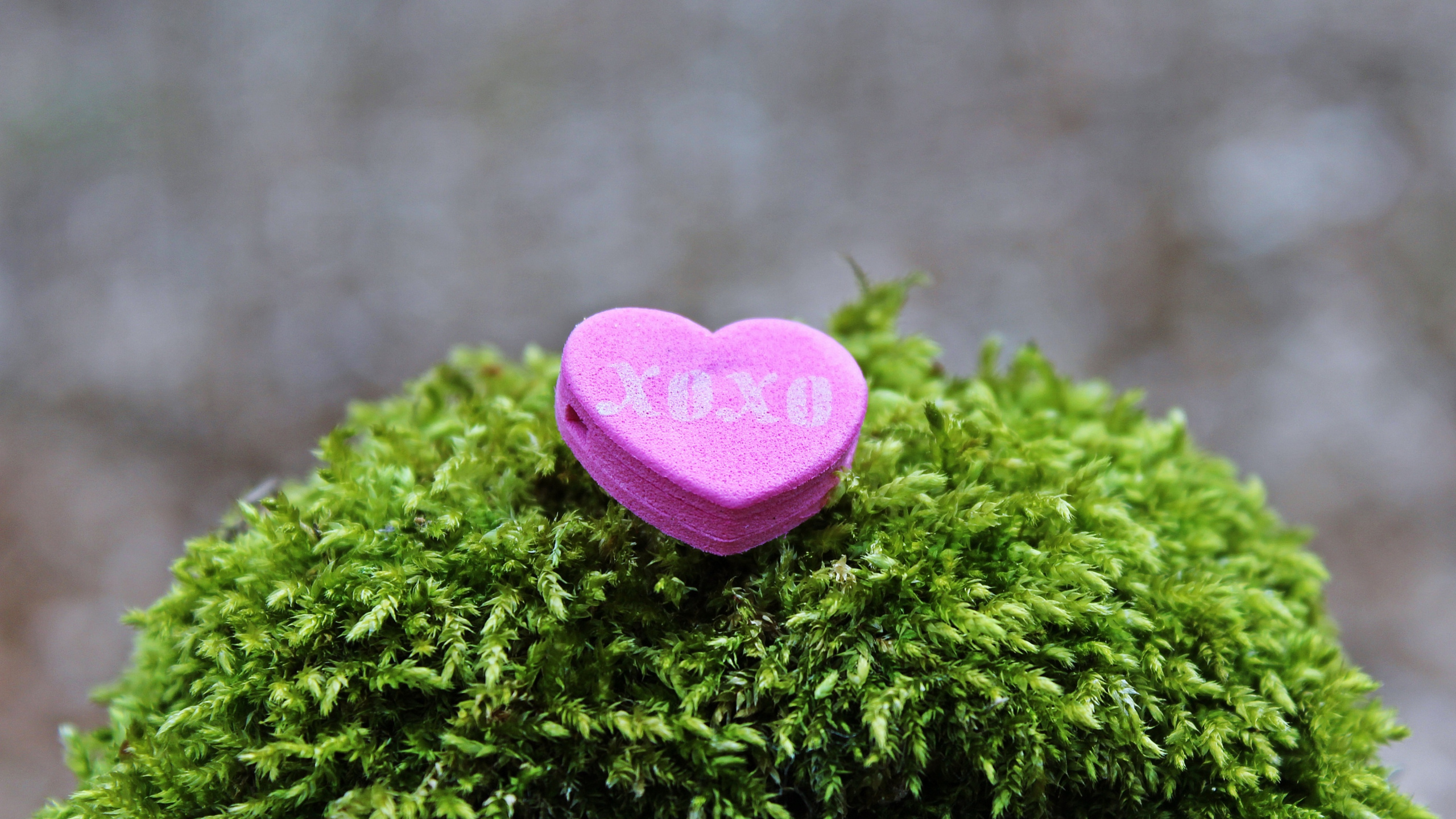 爱情, 浪漫, 心脏, 绿色的, 草 壁纸 2560x1440 允许