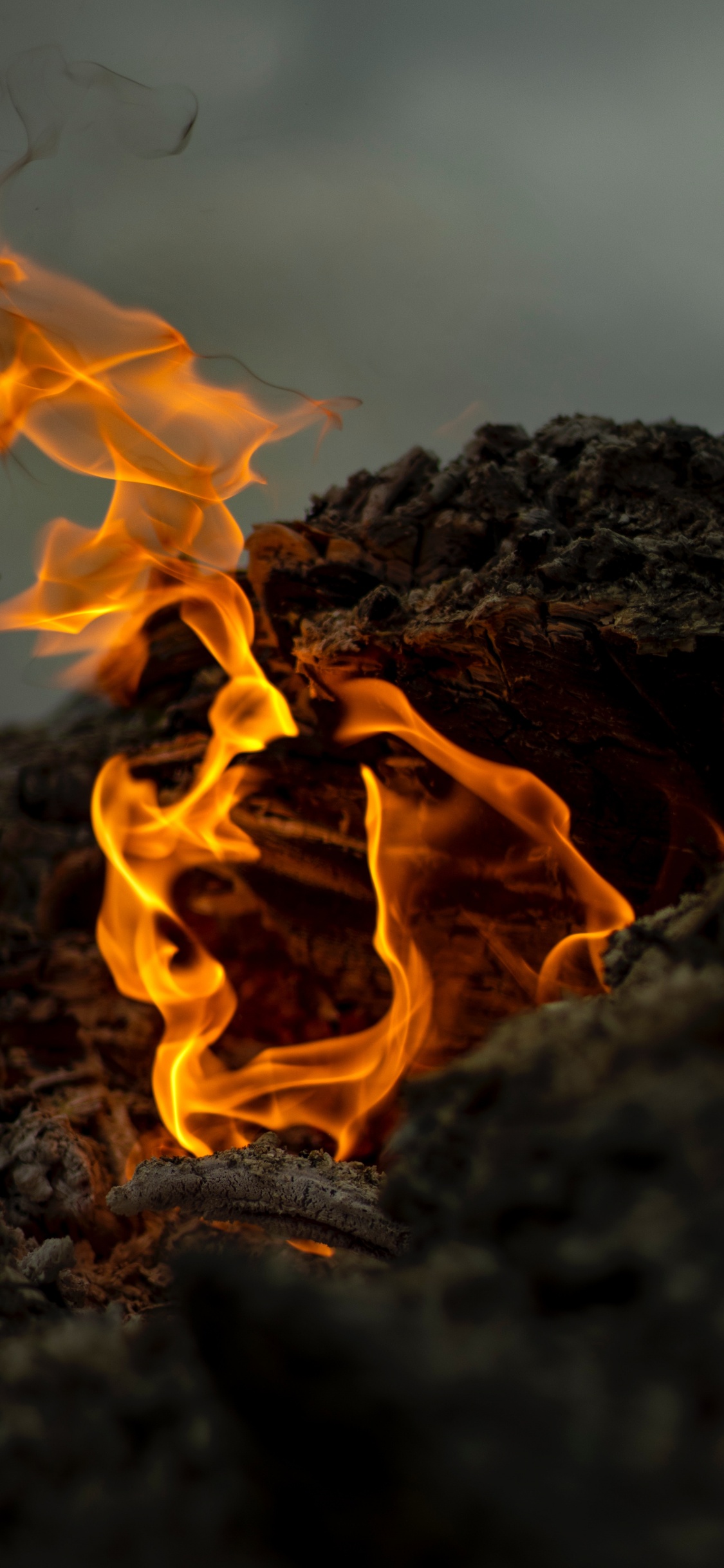 Feu, Flamme, Chaleur, Cendres, Bûcher. Wallpaper in 1125x2436 Resolution